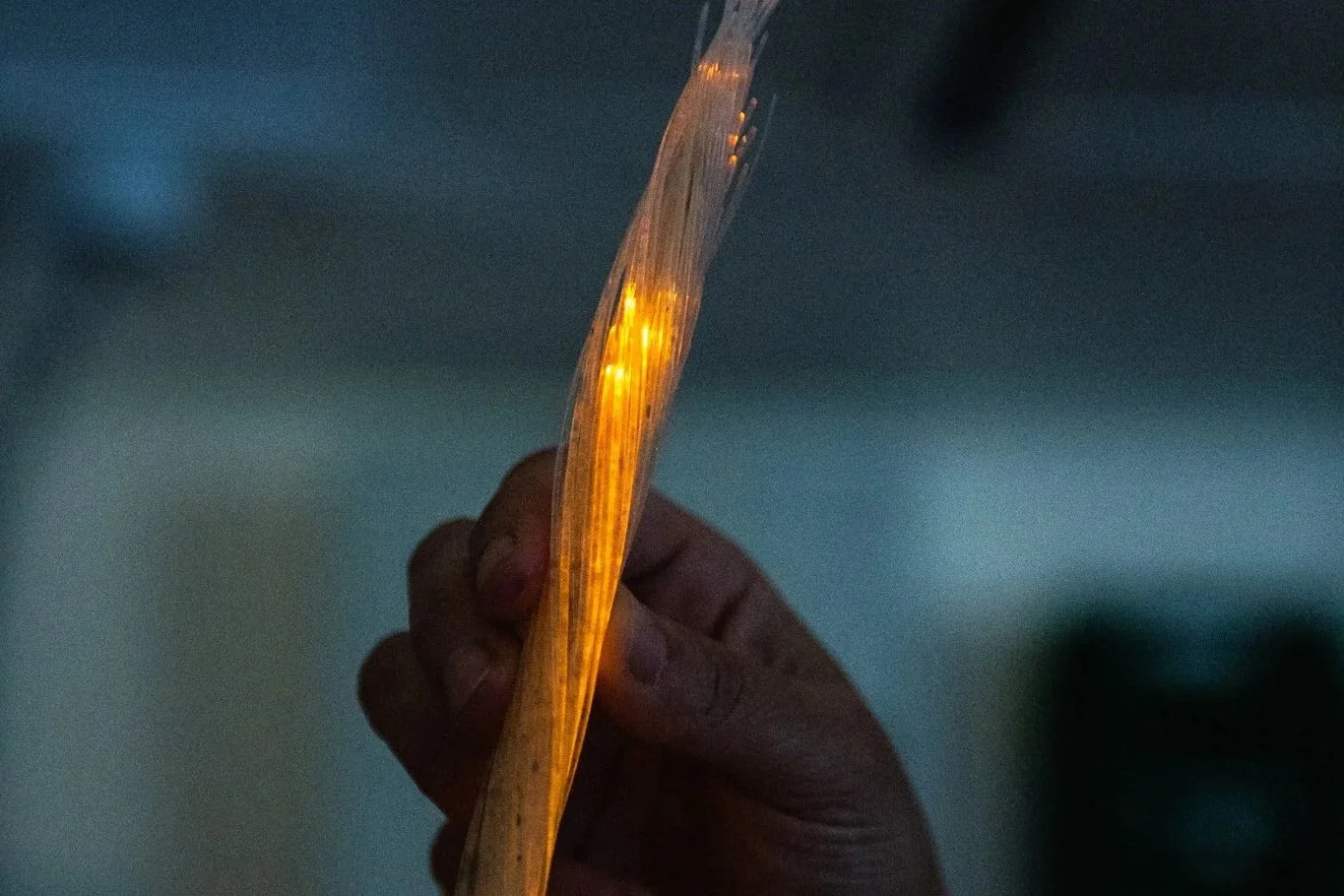 An Interview of Diva Amon