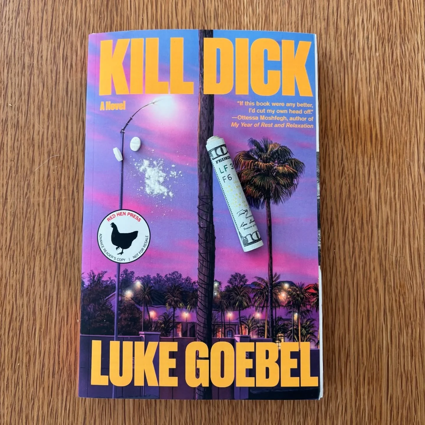 Great book intros remain indelible. Luke Goebel&rsquo;s incendiary new novel begins with a great description of the Santa Ana winds that one year ago today fueled two of the largest fires in Los Angeles history. Since then, the grift, the corruption,