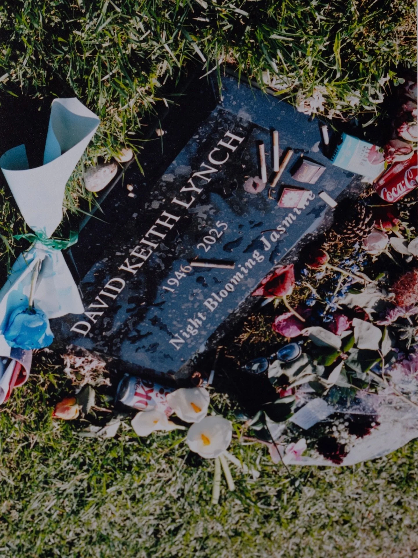 NIGHT BLOOMING JASMINE. One year since David Lynch left the earthly plane. 

Photograph by @damienmaloney 

#davidlynch