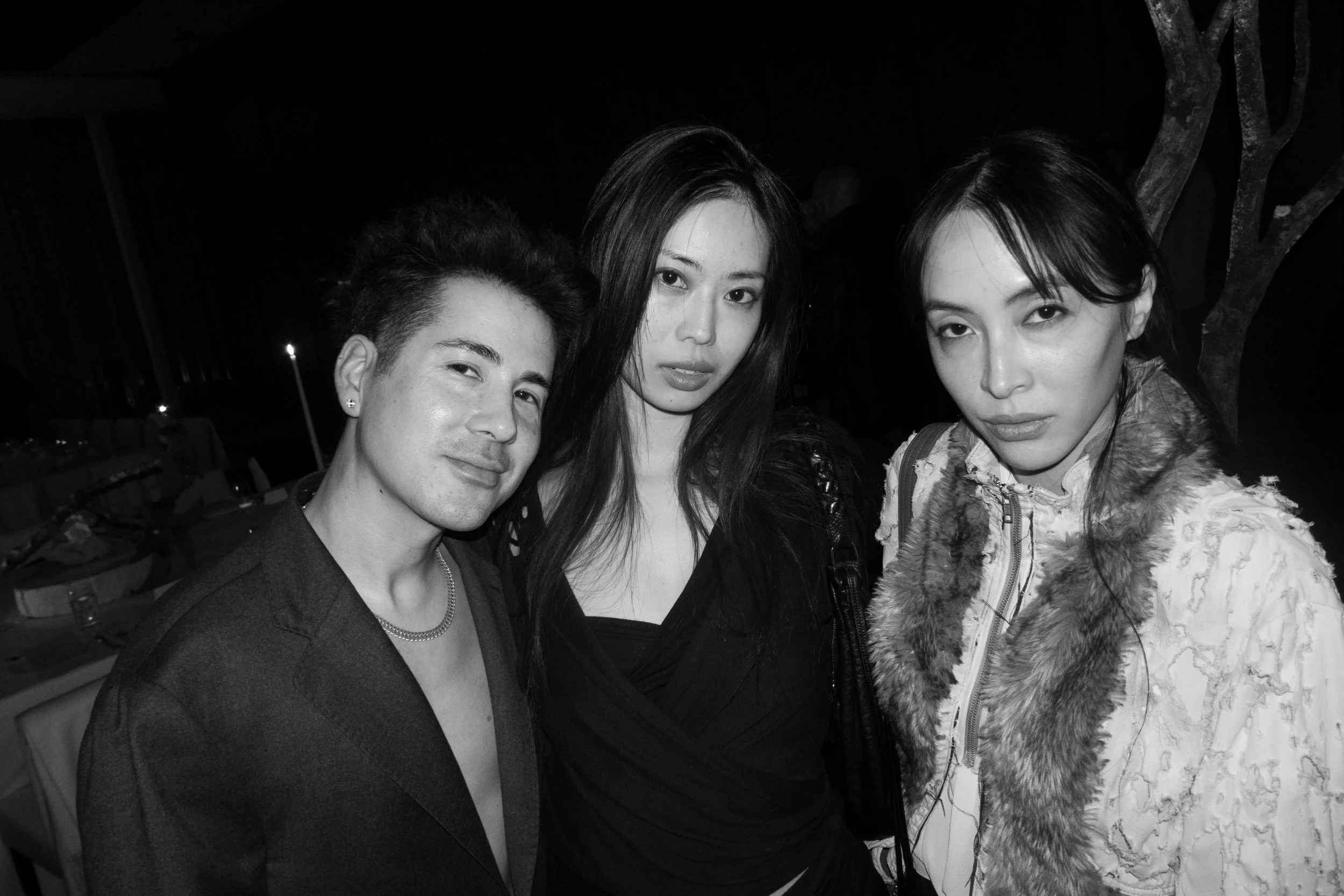  Job Piston, Ellen Vu, and Diane Severin Nguyen 