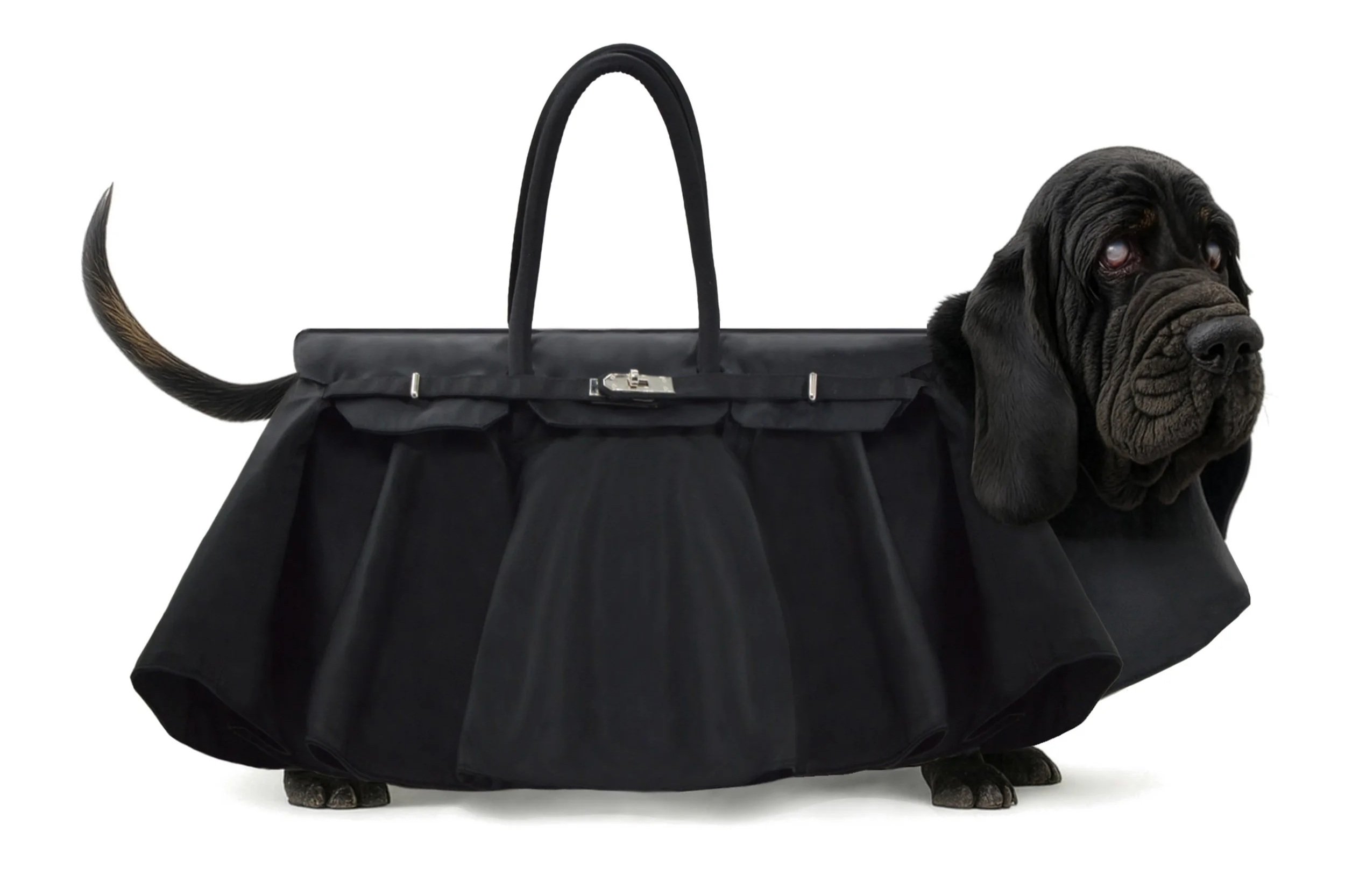 Wearable Innovation: Monamobile’s Take On Functional Fashion