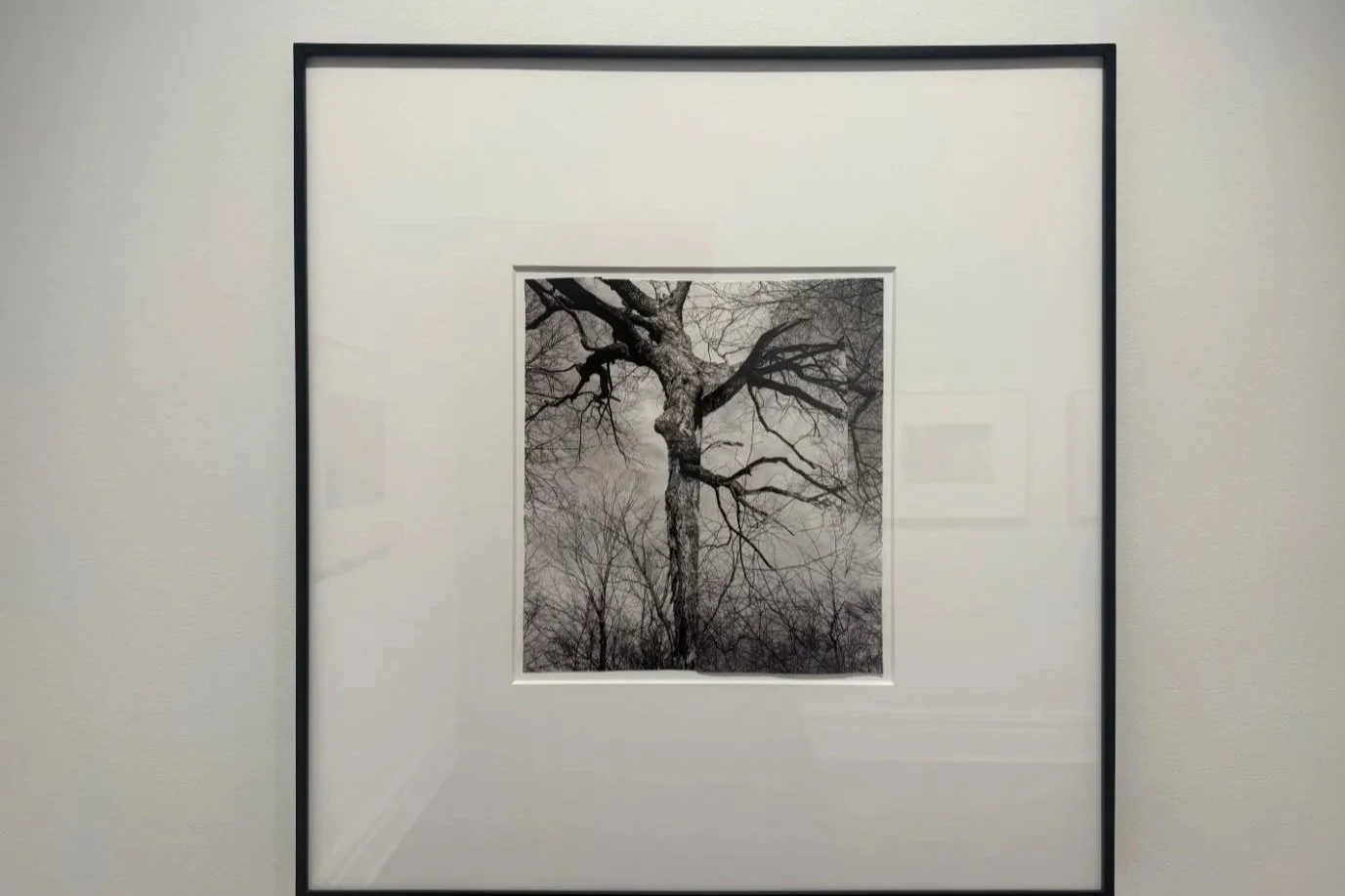   Atropa  by Sterling Ruby, Sprüth Magers New York, 2026. Photo: Isabella Bernabeo. 