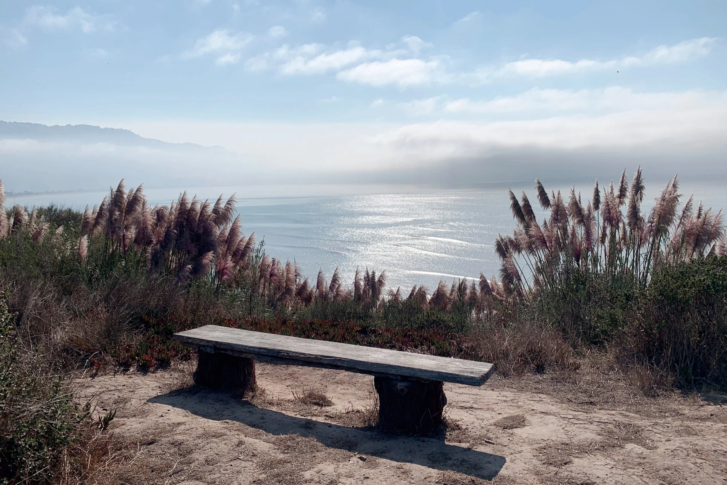 Otherwise Part VIII: Quotidian beauty, hospitality, and artful life in relation