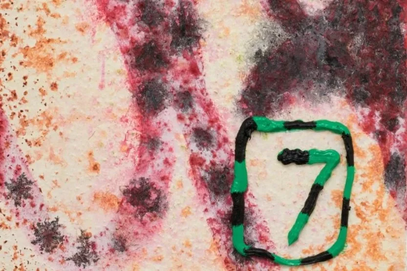 Skirting on the Border: Salim Green's "Paintings" @ François Ghebaly