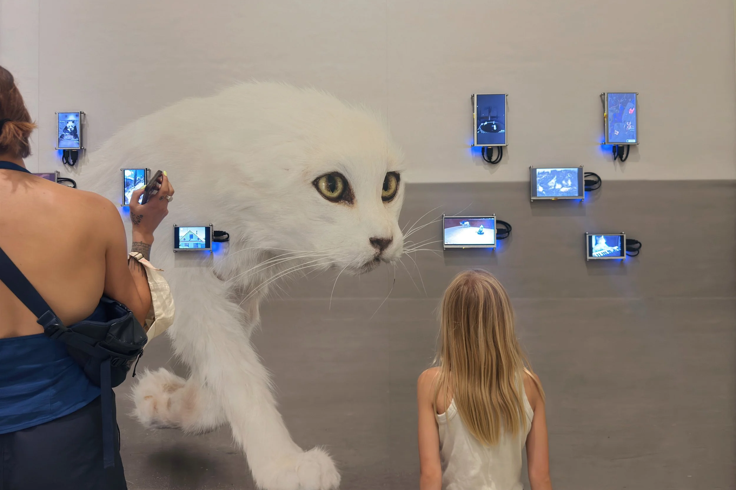 Our Image Cosmos: Notes from Arles