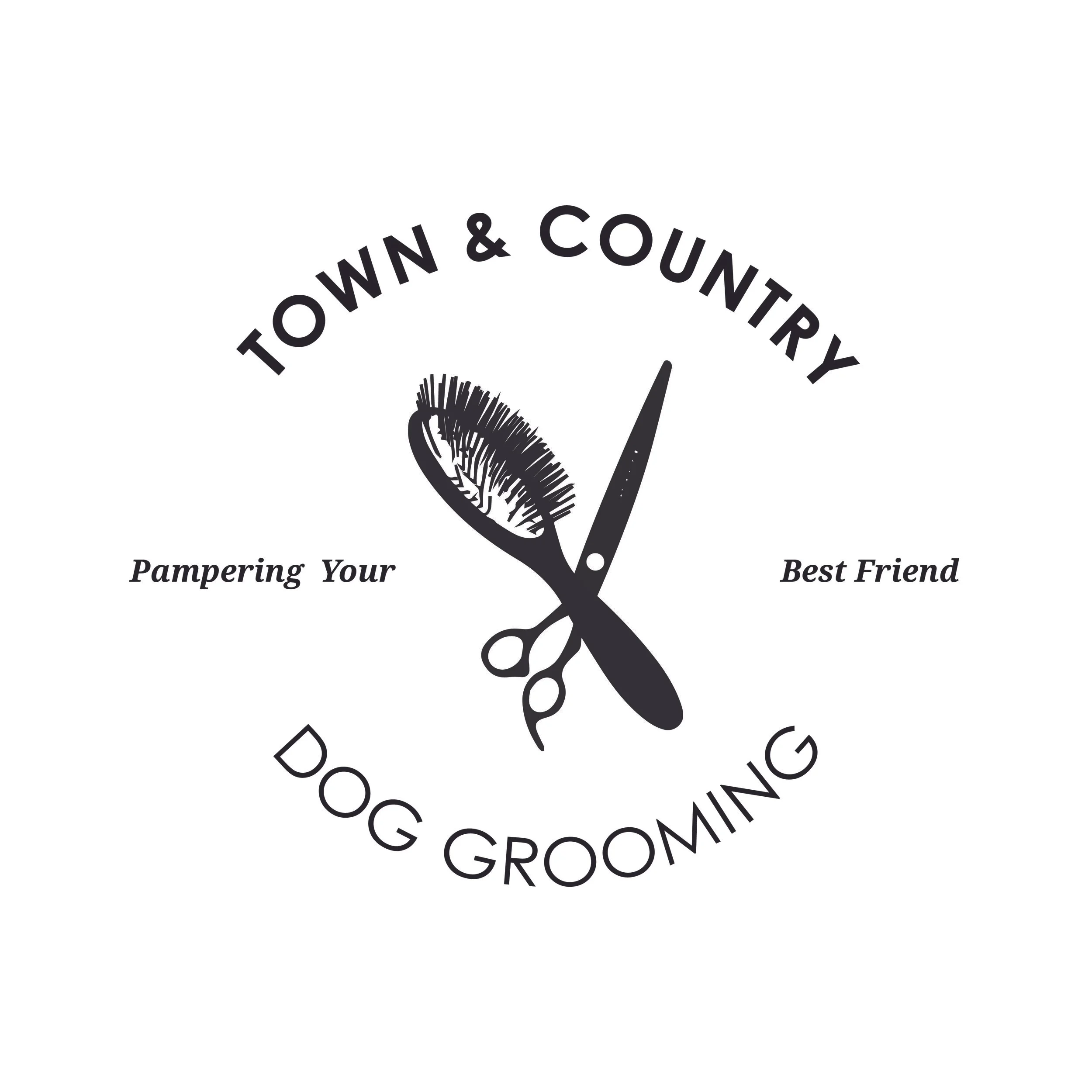 T&CG_LOGO_PRINT_JPEG_POS copy.jpg