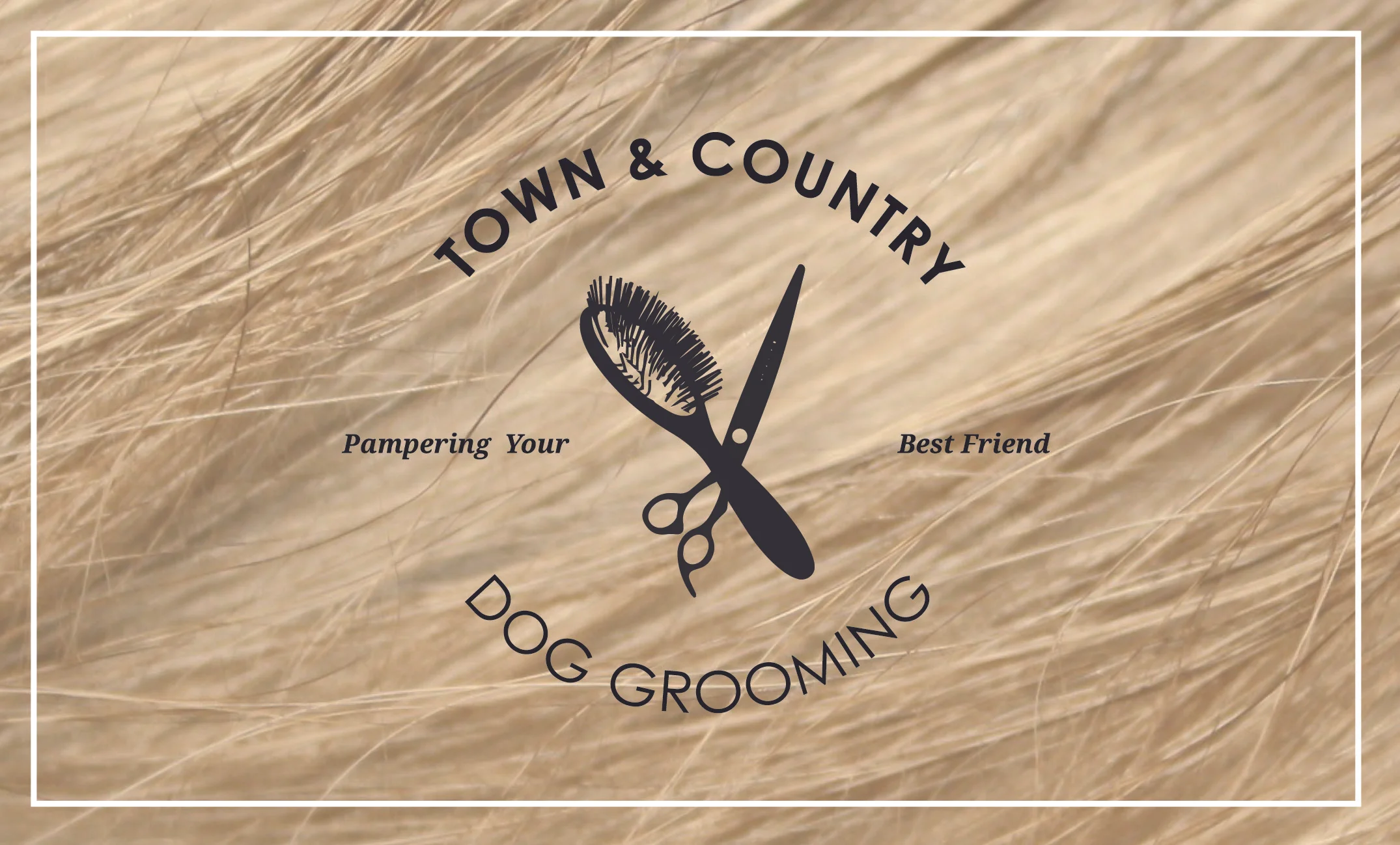 T&CG_Business_Card_P1.jpg