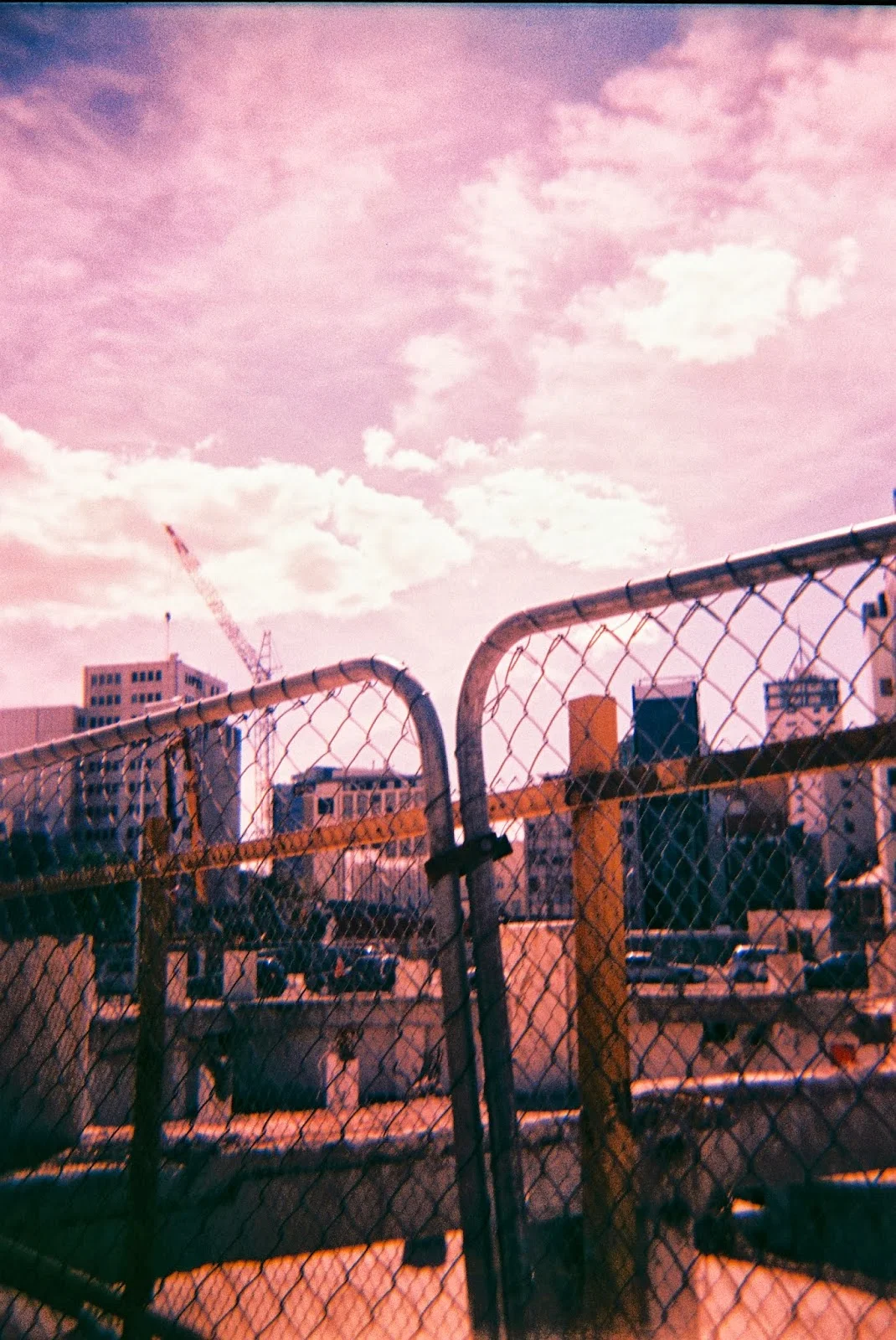 closedfence.JPG