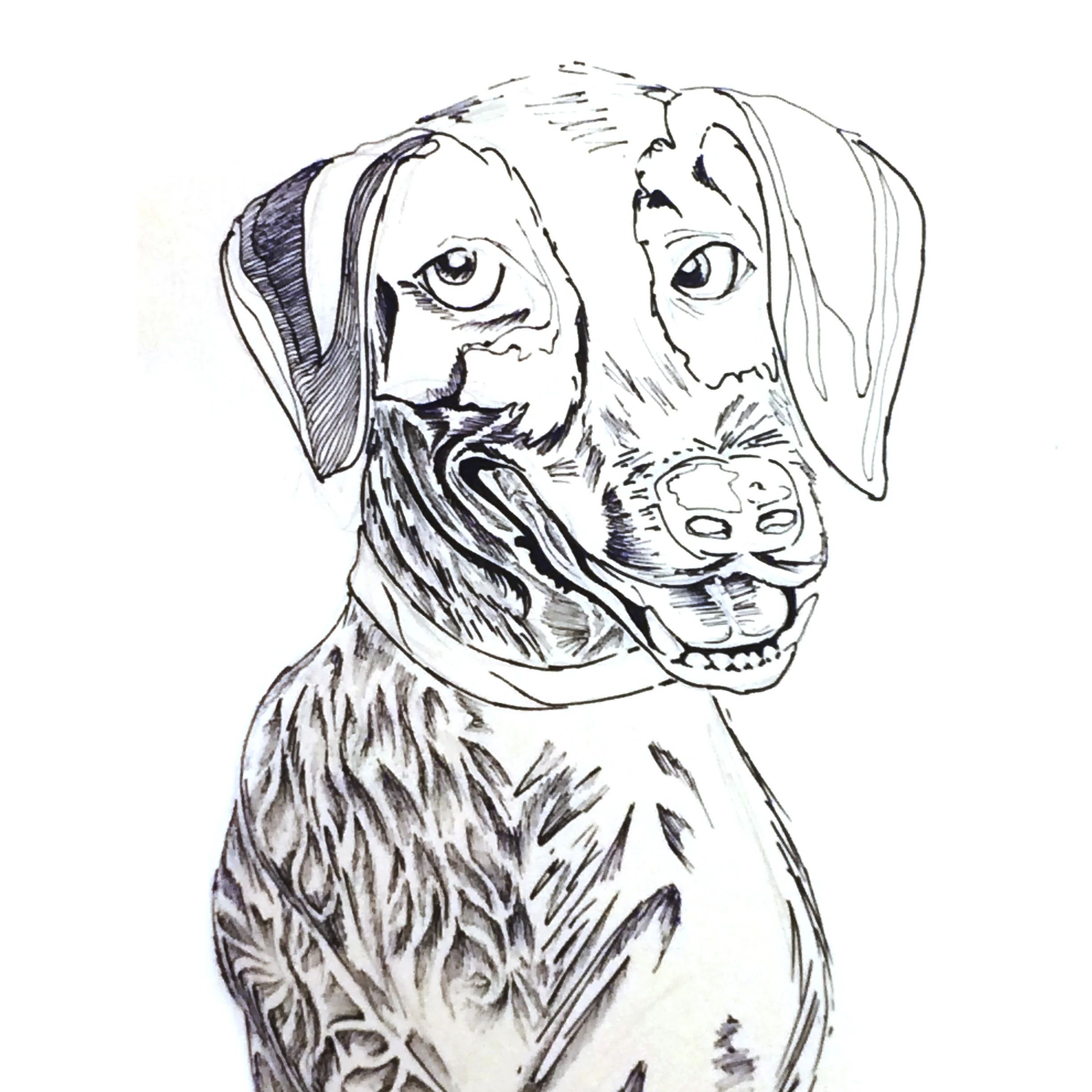 Harry_In_Progress.jpg