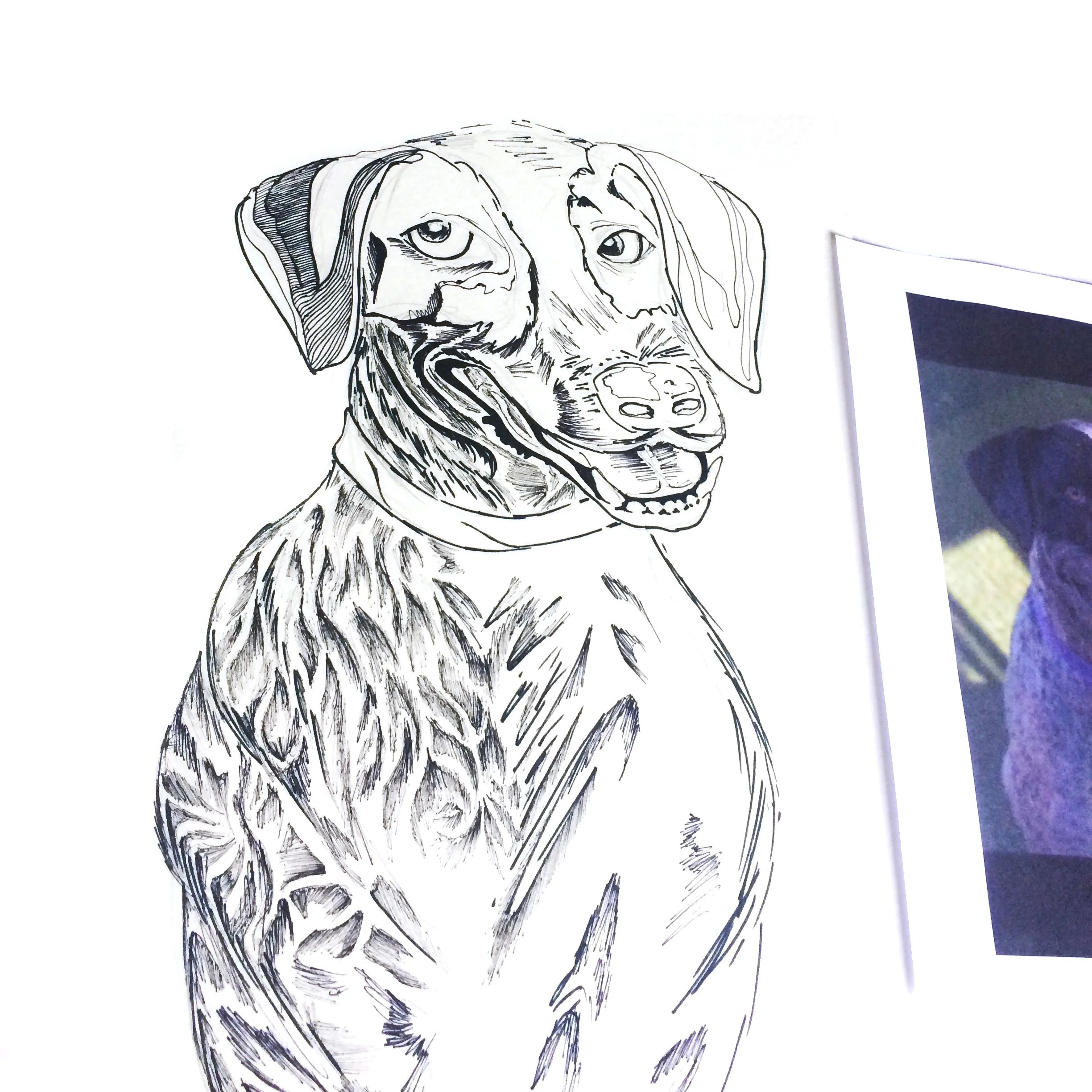 Harry_In_Progress_Two.jpg