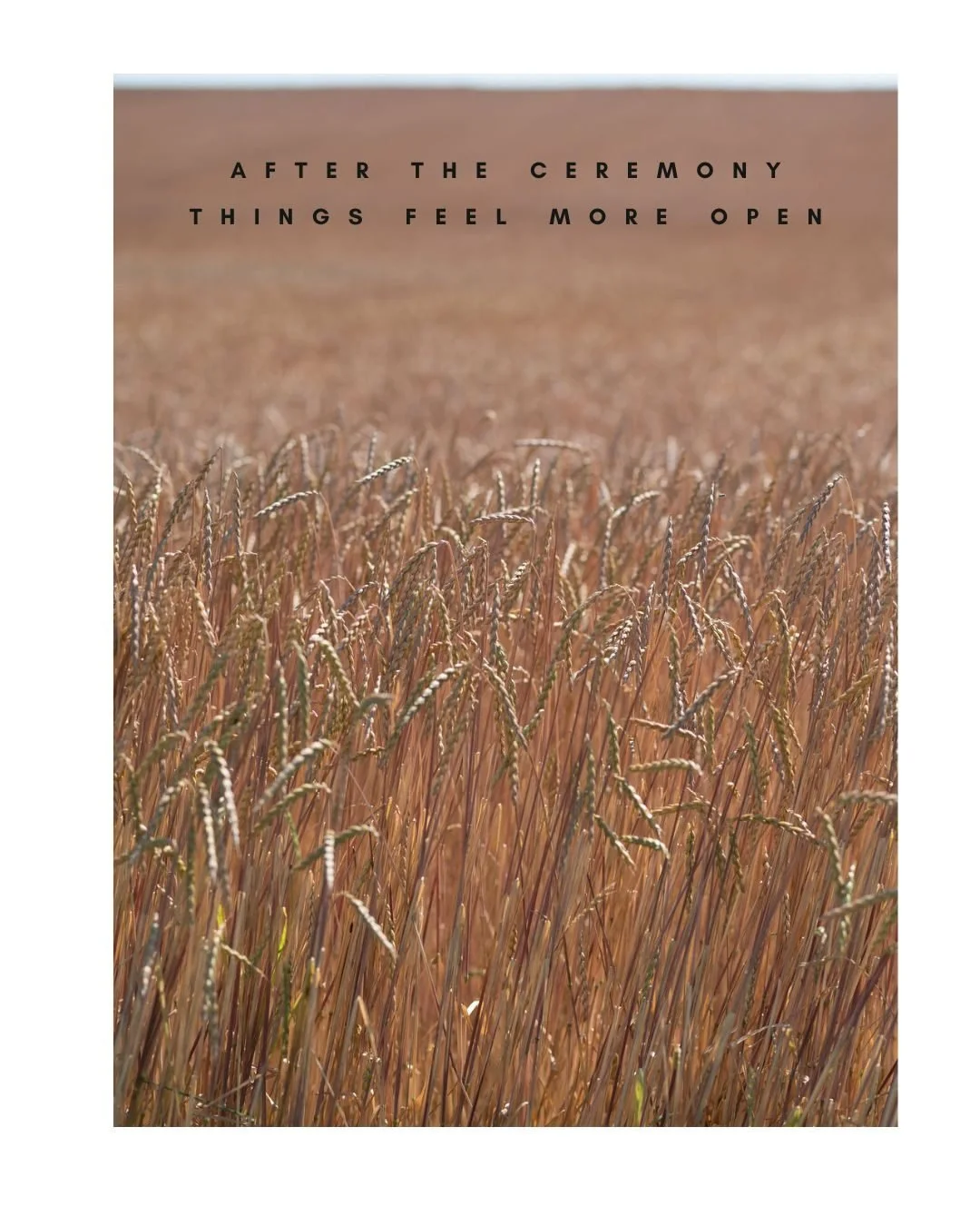 After the ceremony, everything loosens. It gets lighter after, not louder - just more open.
#looseeditorial #weddingphotographyforrealpeople #looseeditorialwedding #viennawedding

Location: @franz_von_gruen