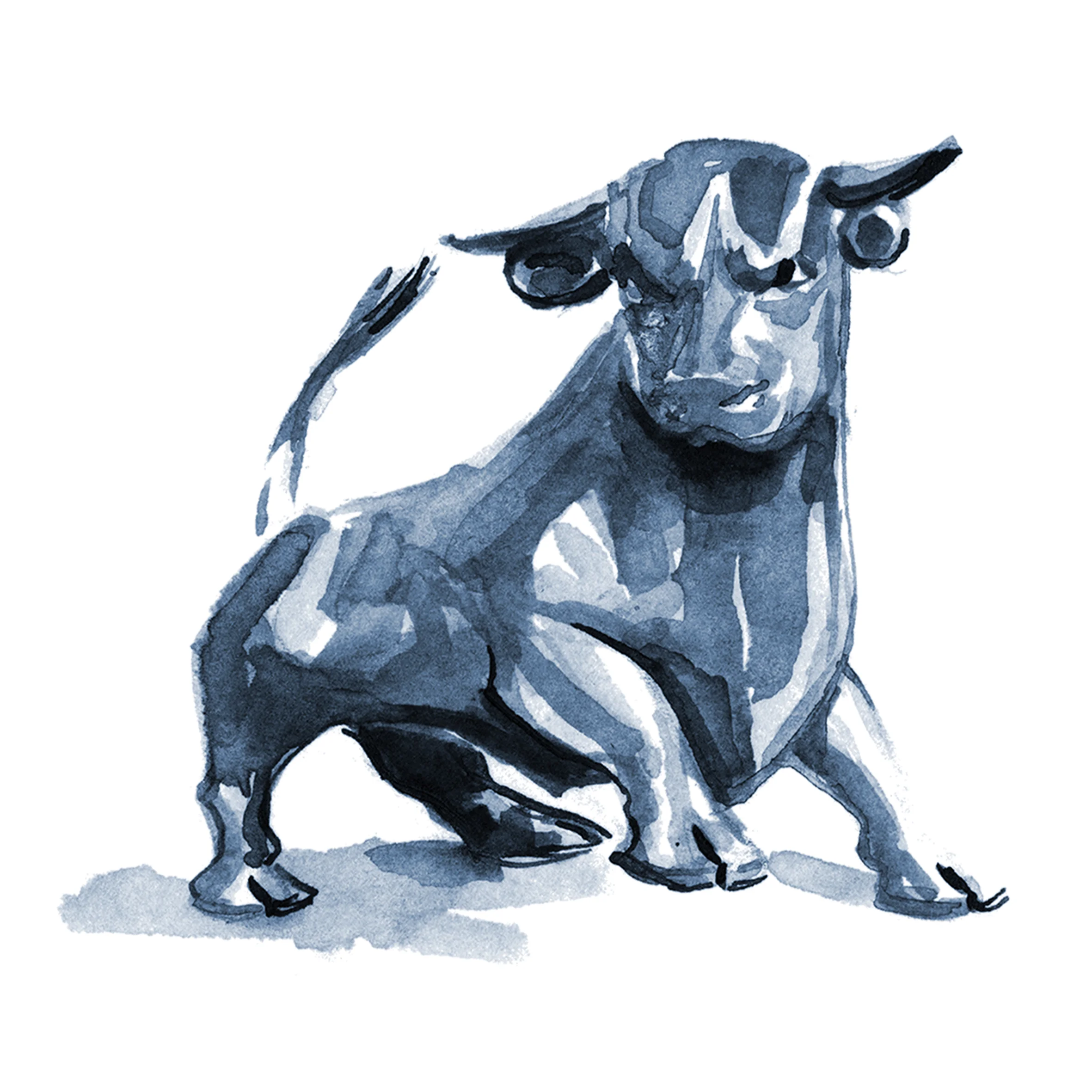 bull.jpg