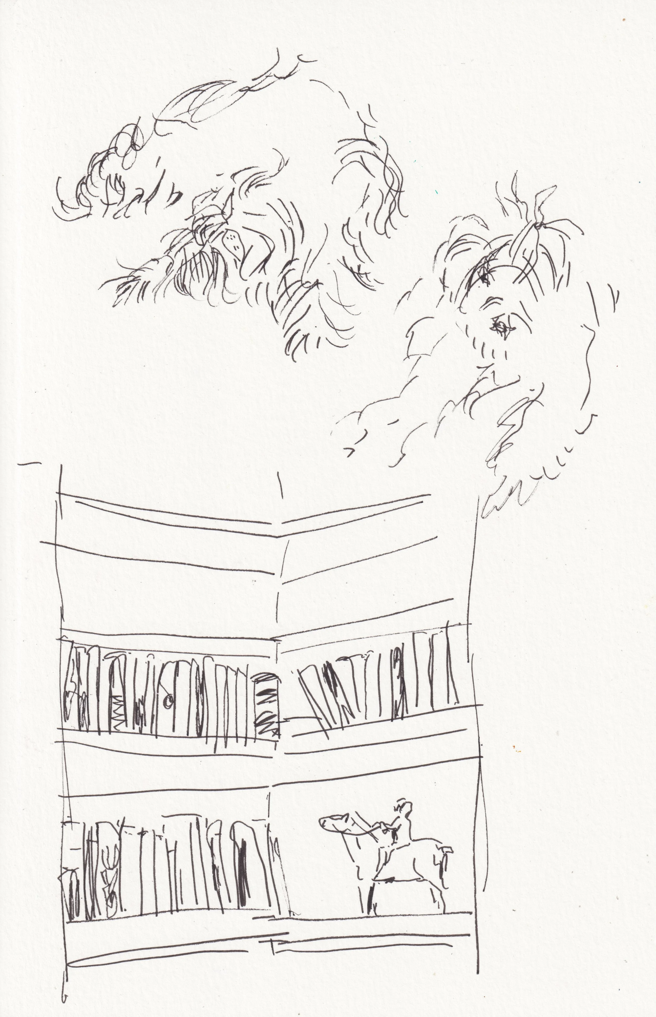 Kristof Lamberigts Dog + Bookshelf.jpeg