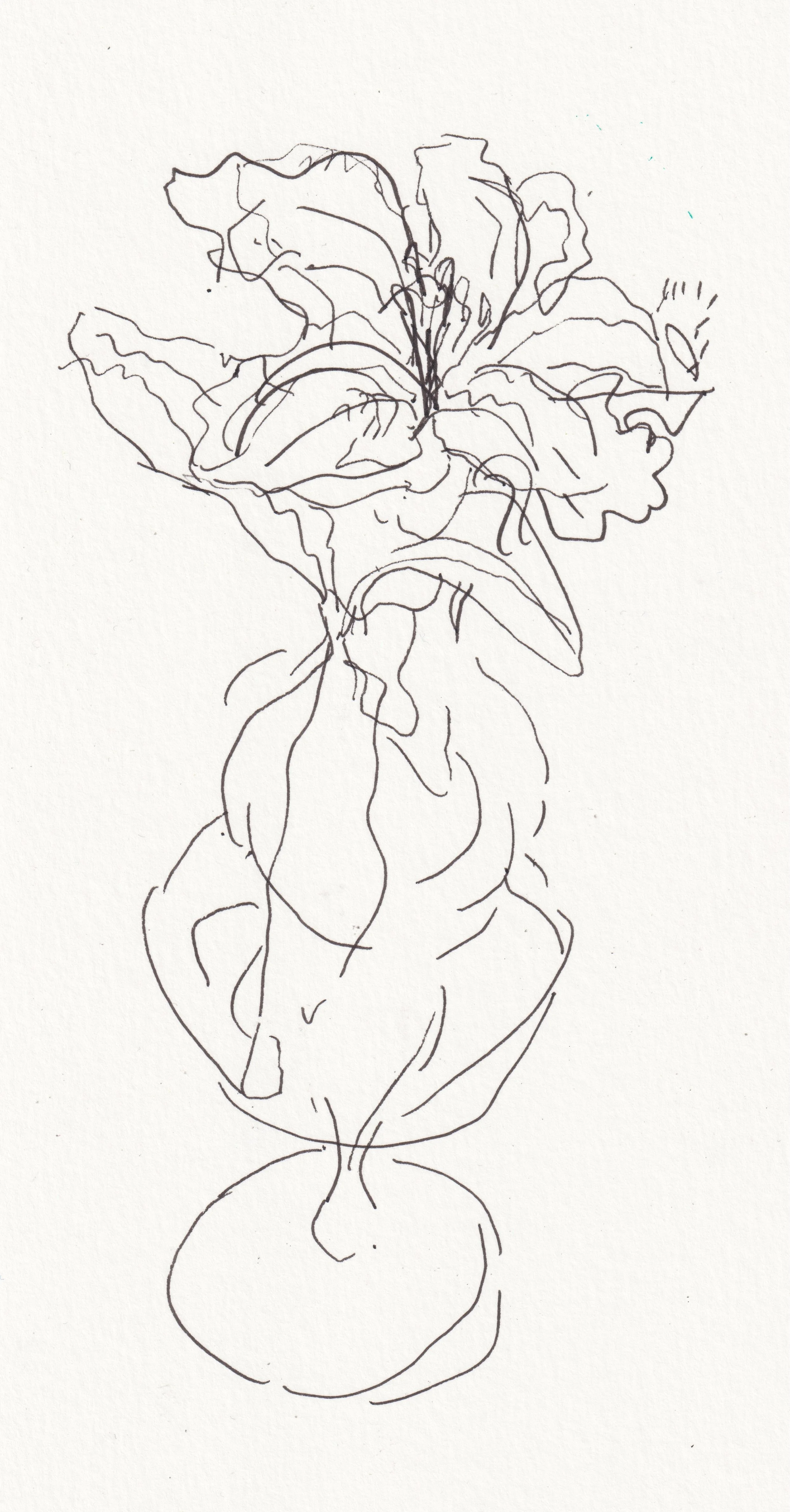 Kristof Lamberigts Pipecleaner Flower.jpeg