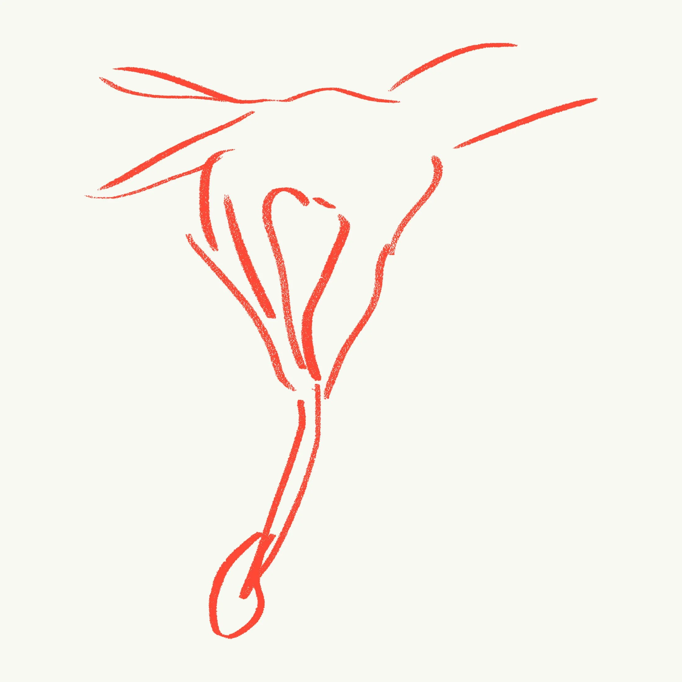 Pépin hand fry.jpg