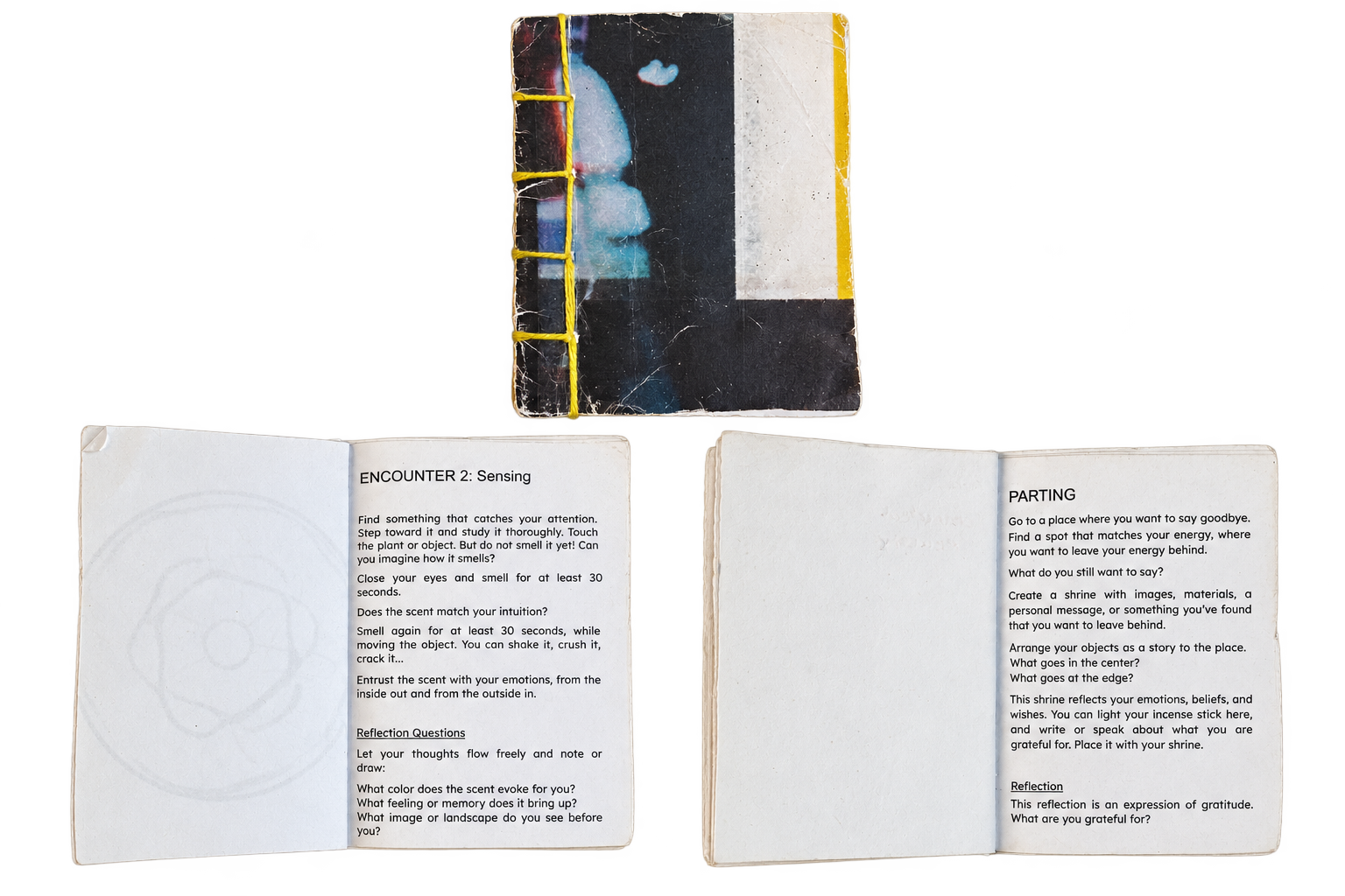 forest encounters booklet.png