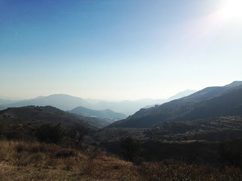 view_1.jpg
