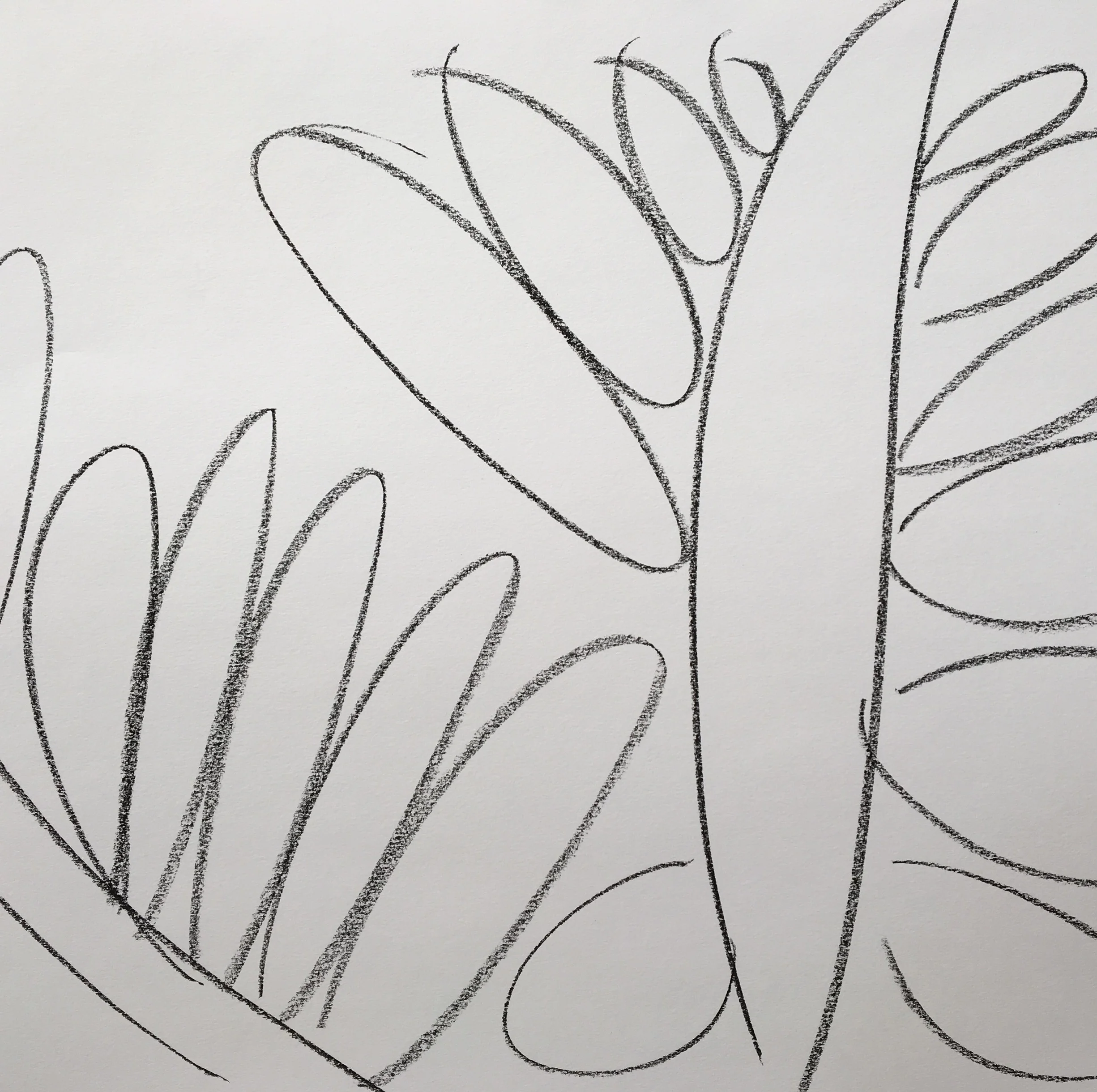 Leaves 2016