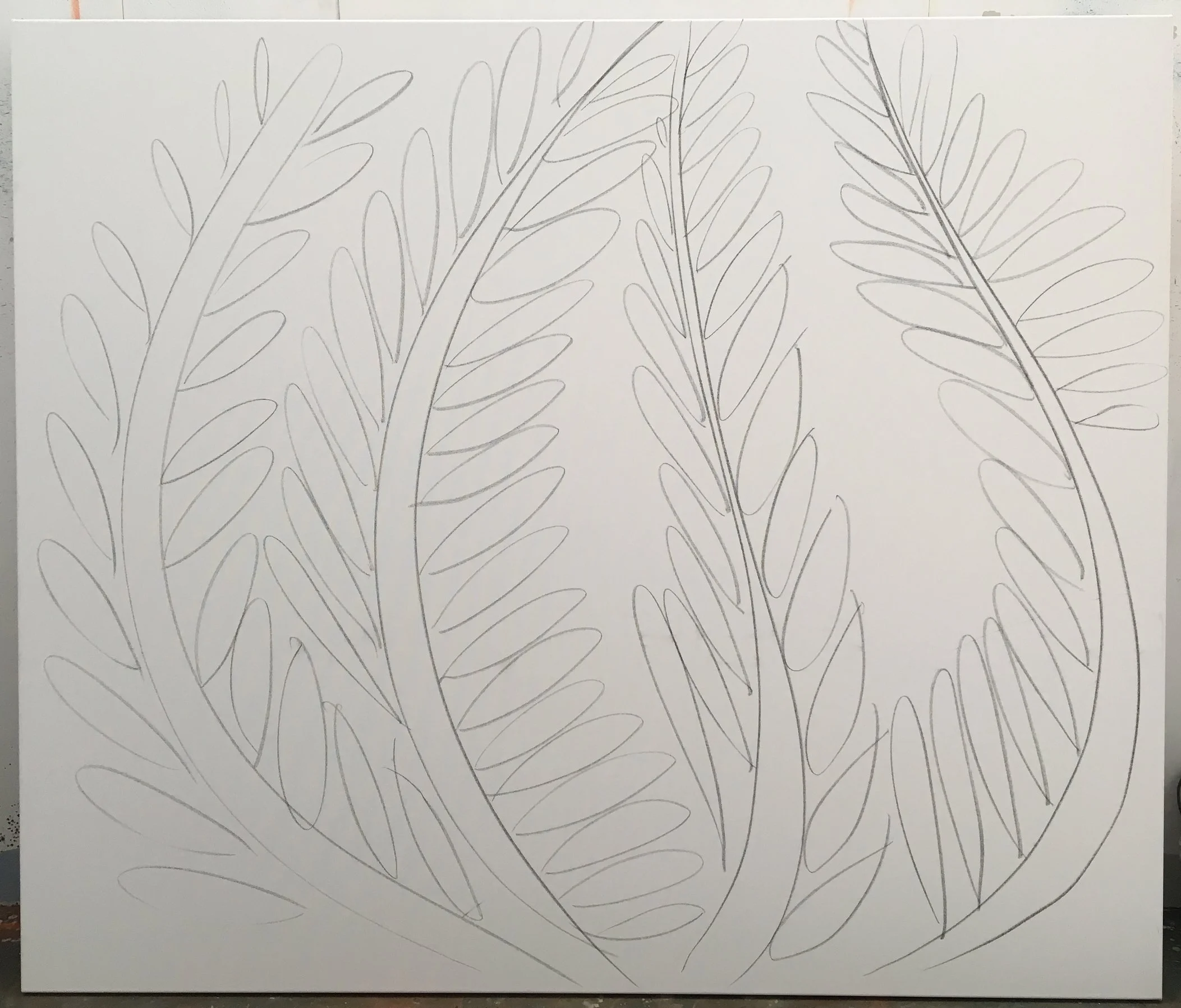 tree, 2016 charcoal on canvas 5 x 5ft