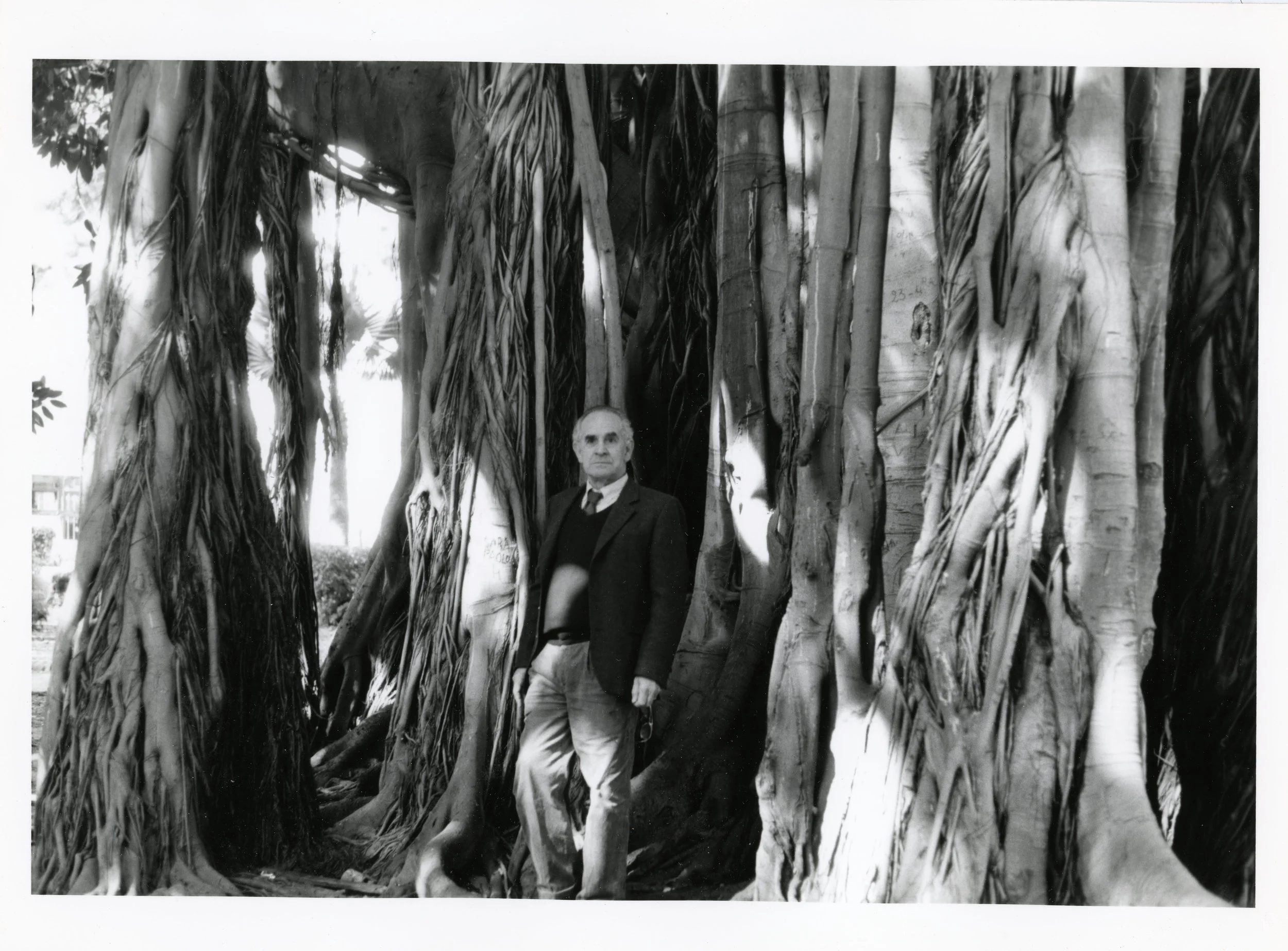 Bruno Caruso under the Ficus Tree in Piazza Marina