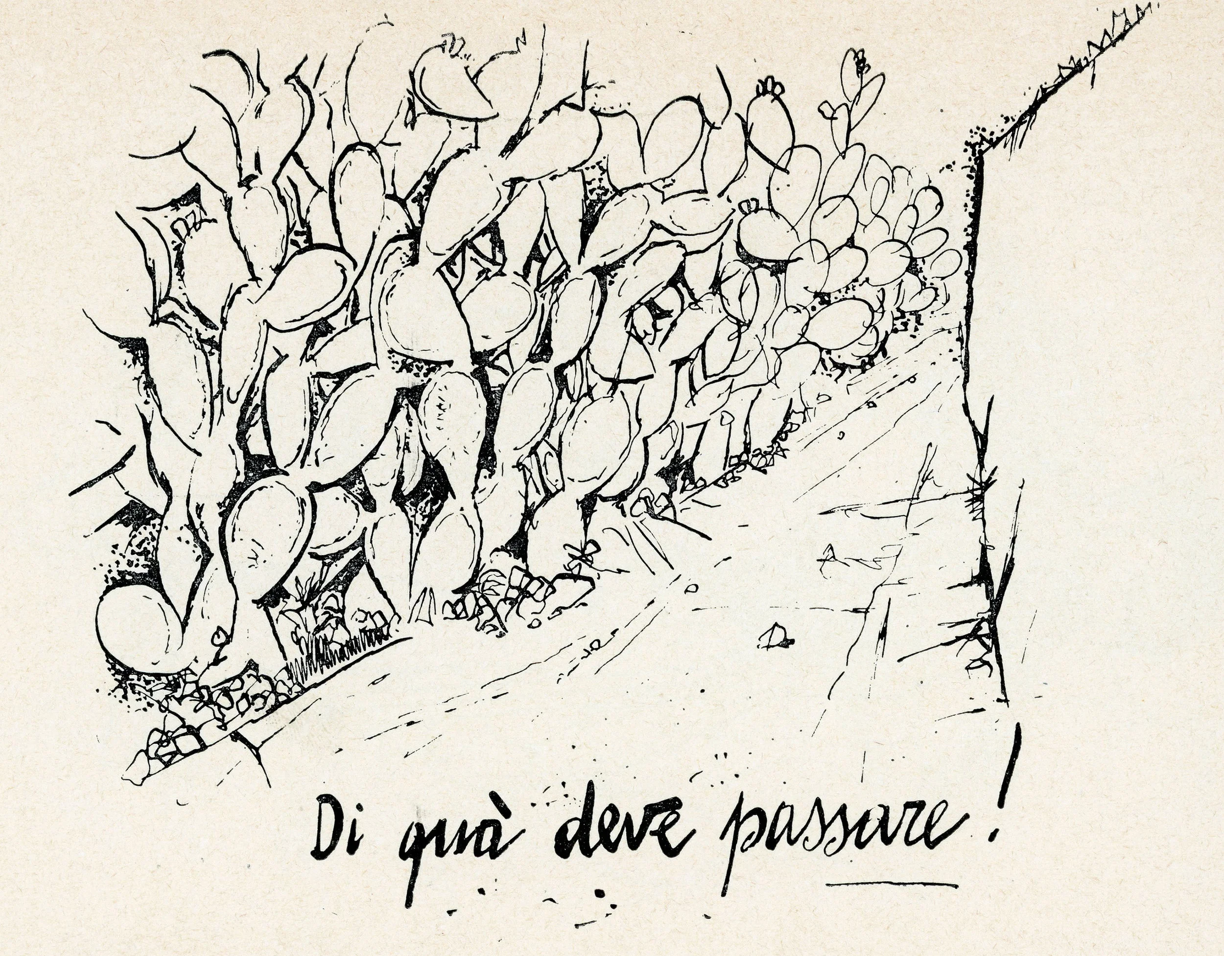 Di qua deve passare