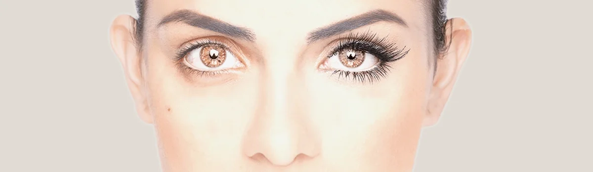 eyelash banner.jpg