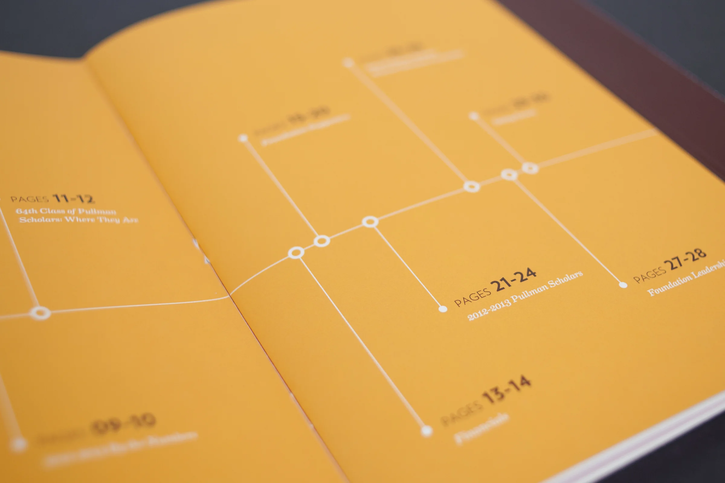 2013 Pullman Foundation Annual Report