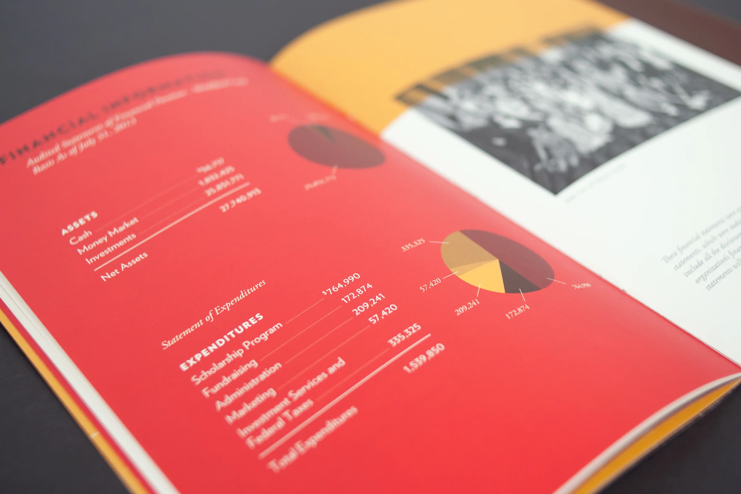 2013 Pullman Foundation Annual Report