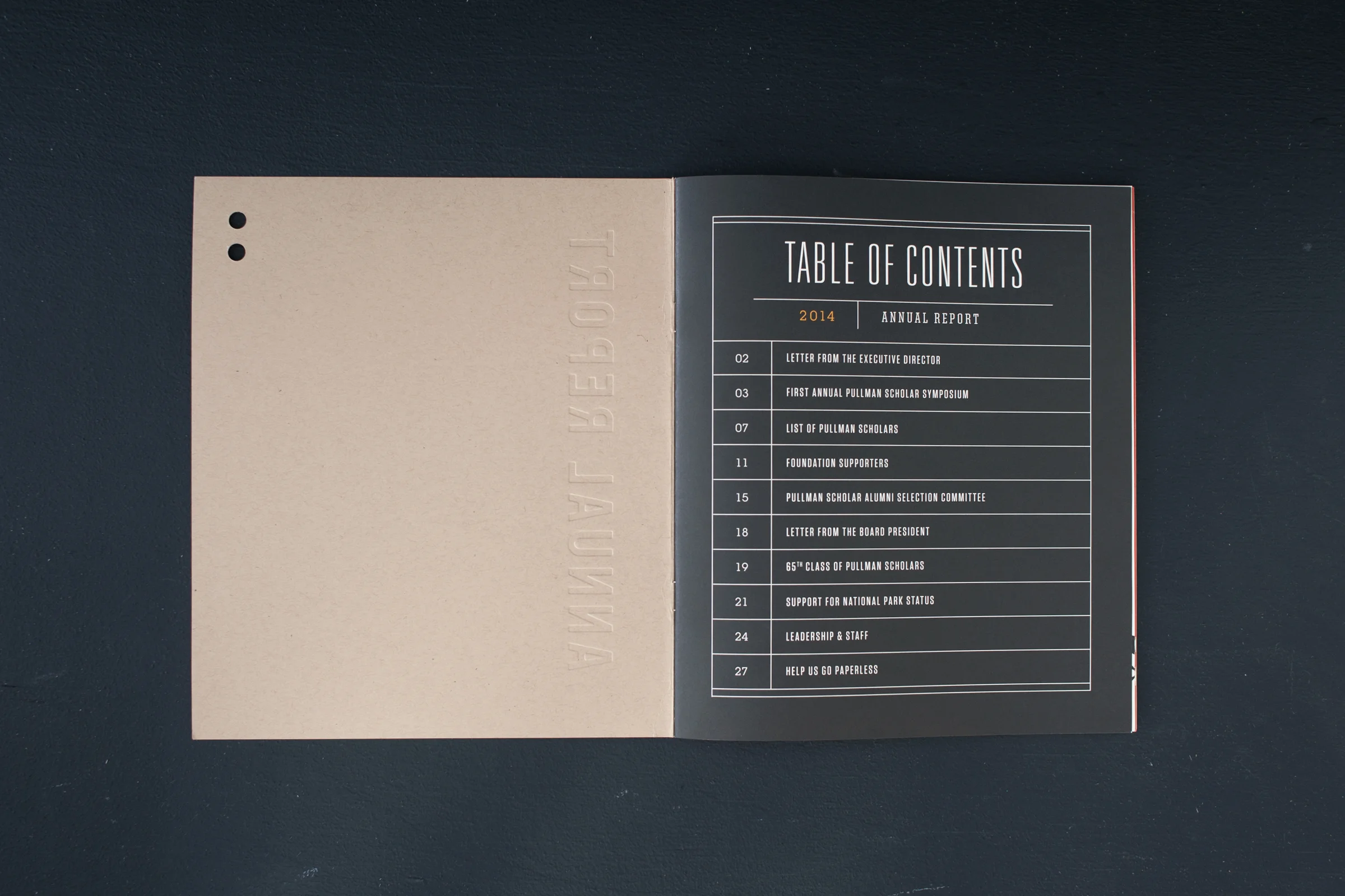 2014 Pullman Foundation Annual Report