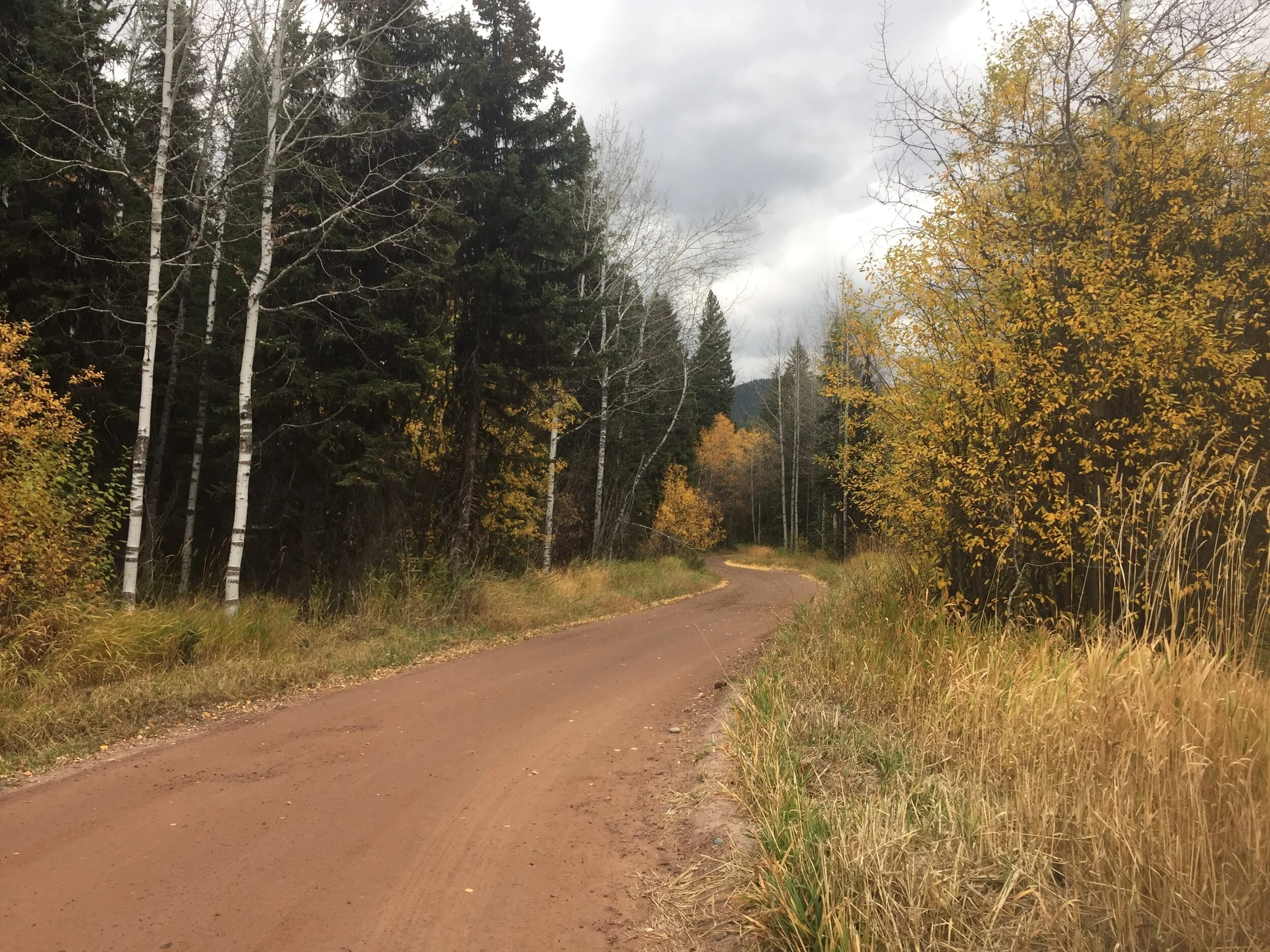 Muller fall colors road.jpg