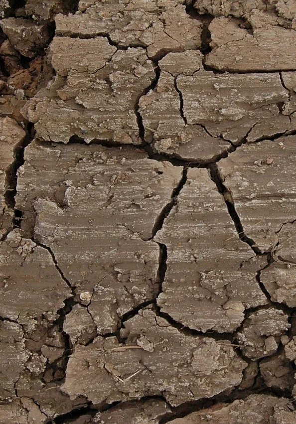 land-463443_1280.jpg