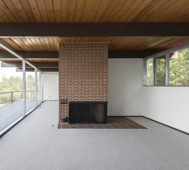 Neutra4.jpg