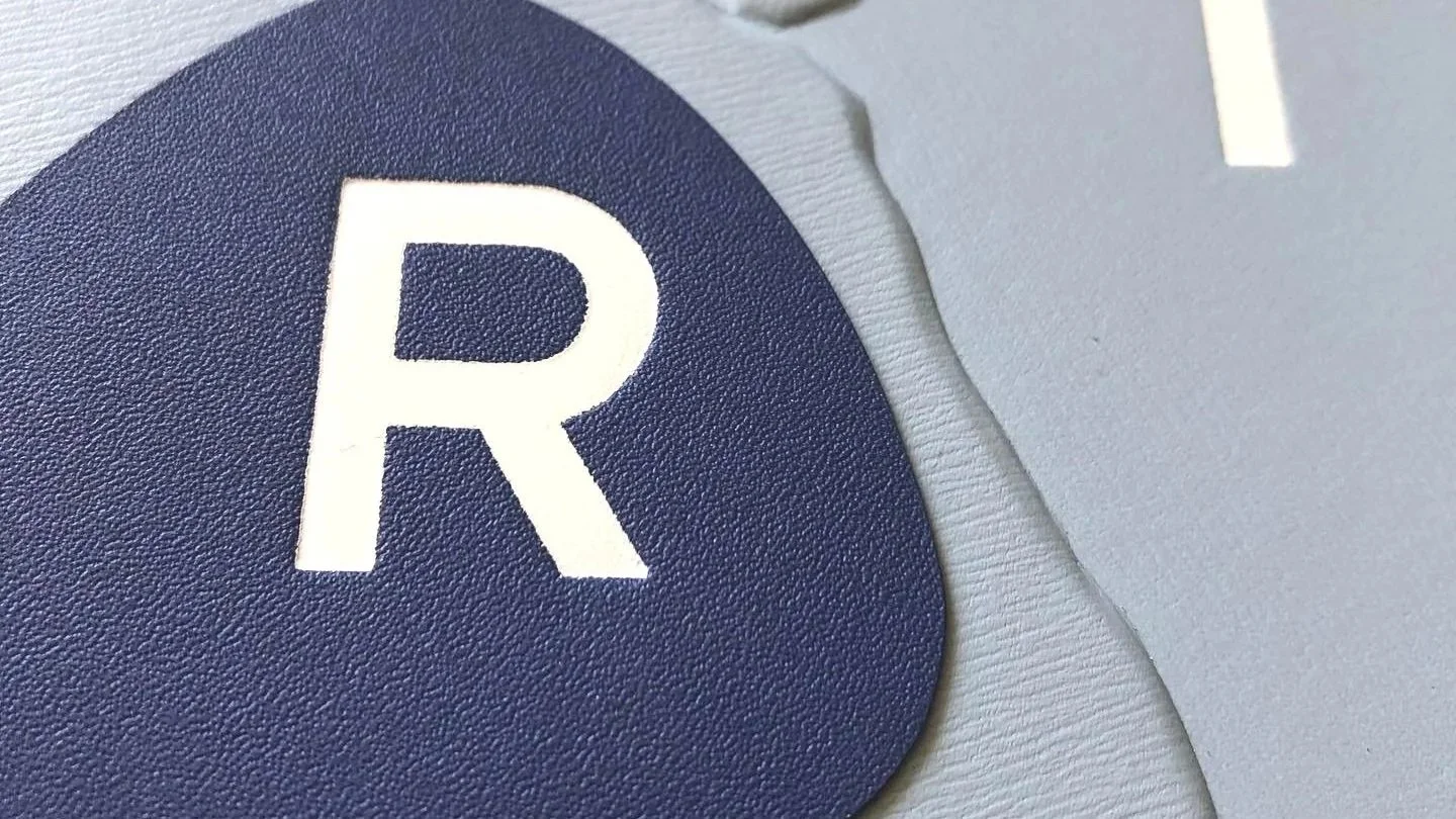 Vue zoomée sur des éléments de détails (pièces de cuir mosaïquées associée à la dorure) de ma reliure d'art réalisée sur le livre Carrière, créé par le duo d'artistes Icinori