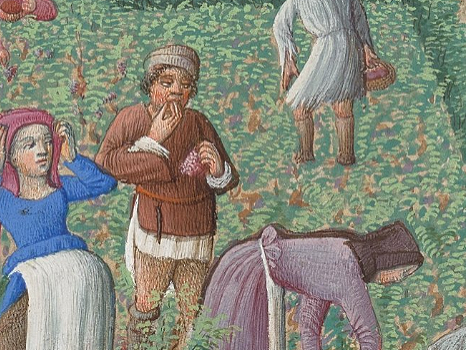 Visite - Les très riches heures du Duc de Berry - 1/3