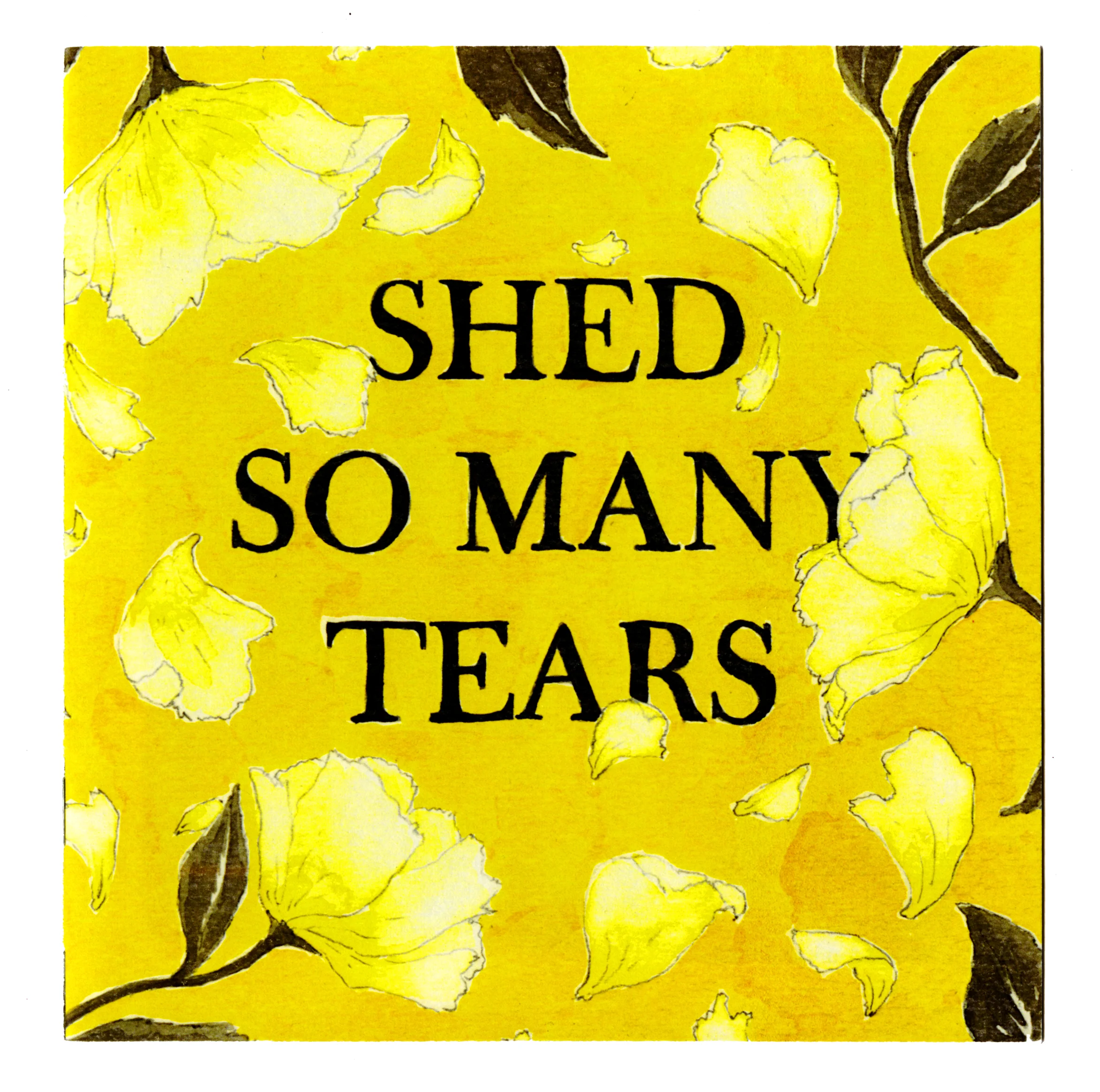 excerpts from Shed So Many Tears
