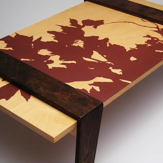 Lapdesk_Yespo_1.jpg