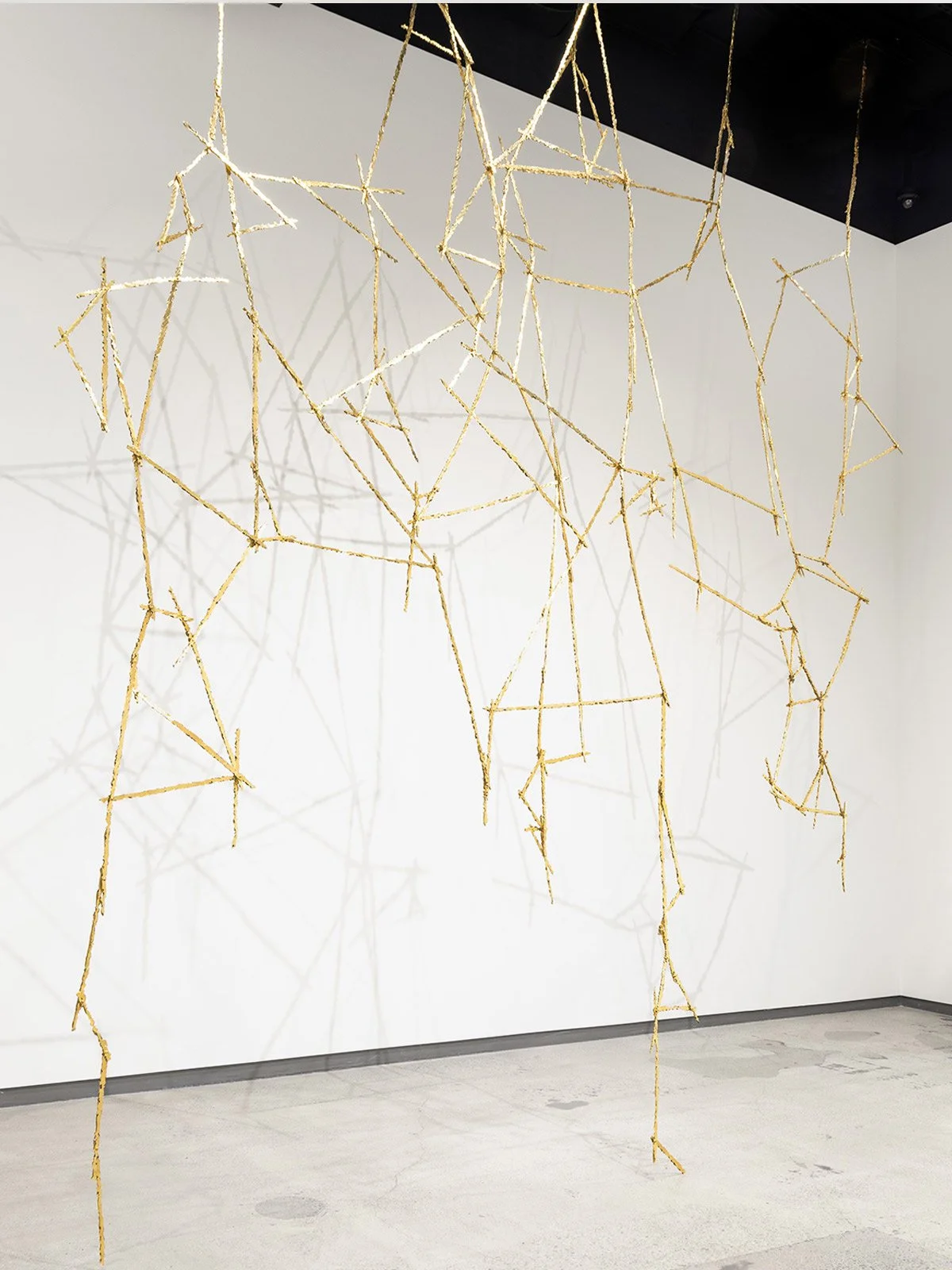  BACK TO THE LINE 1  BACK TO THE LINE 2  168 x 72 x 2 in  168 x 120 x 2 in  2025  + more details  