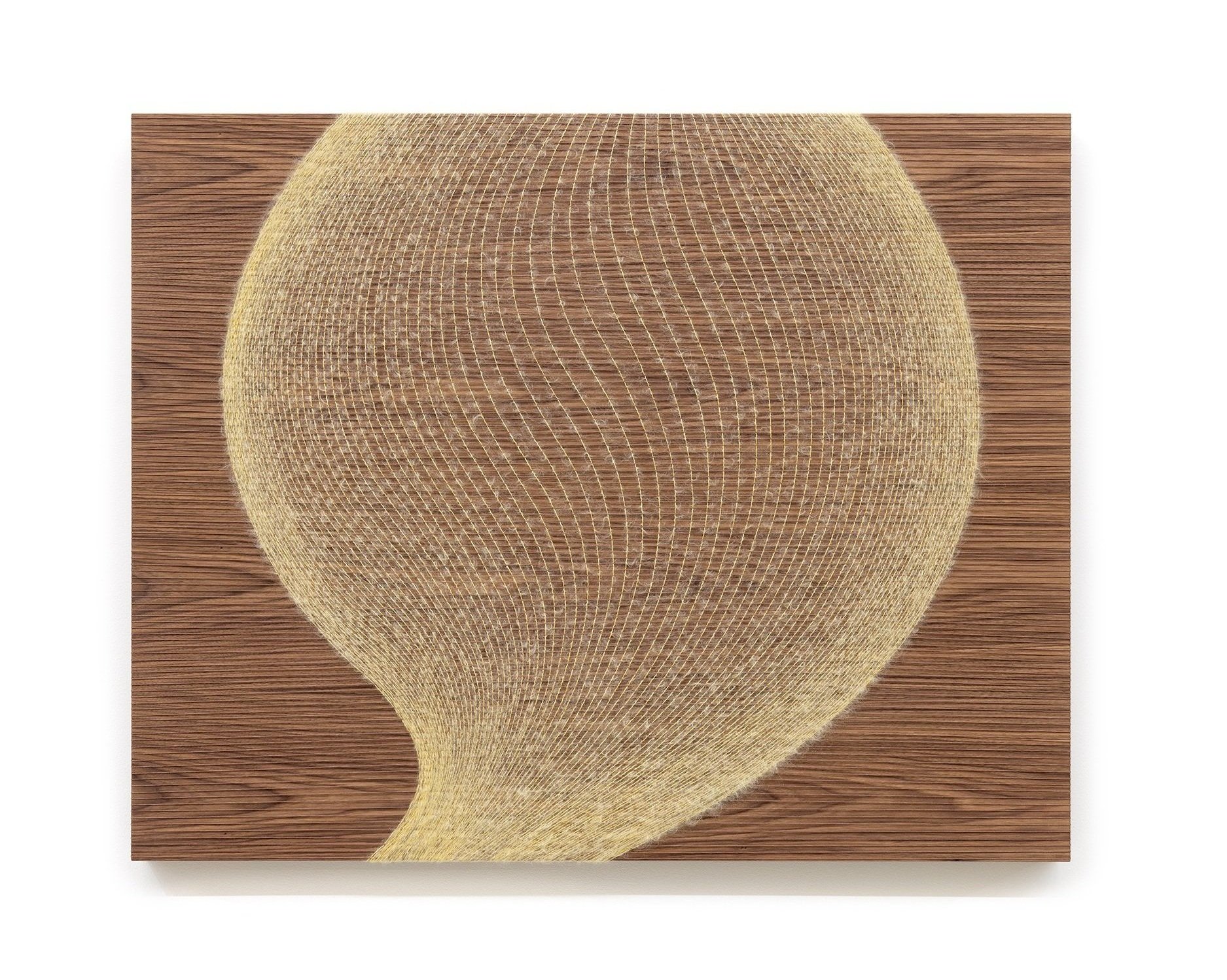  SCULPTED AIR Natural fibers and walnut veneer panel 36 x 45 x 3 in 2025  + more details   Inquire  