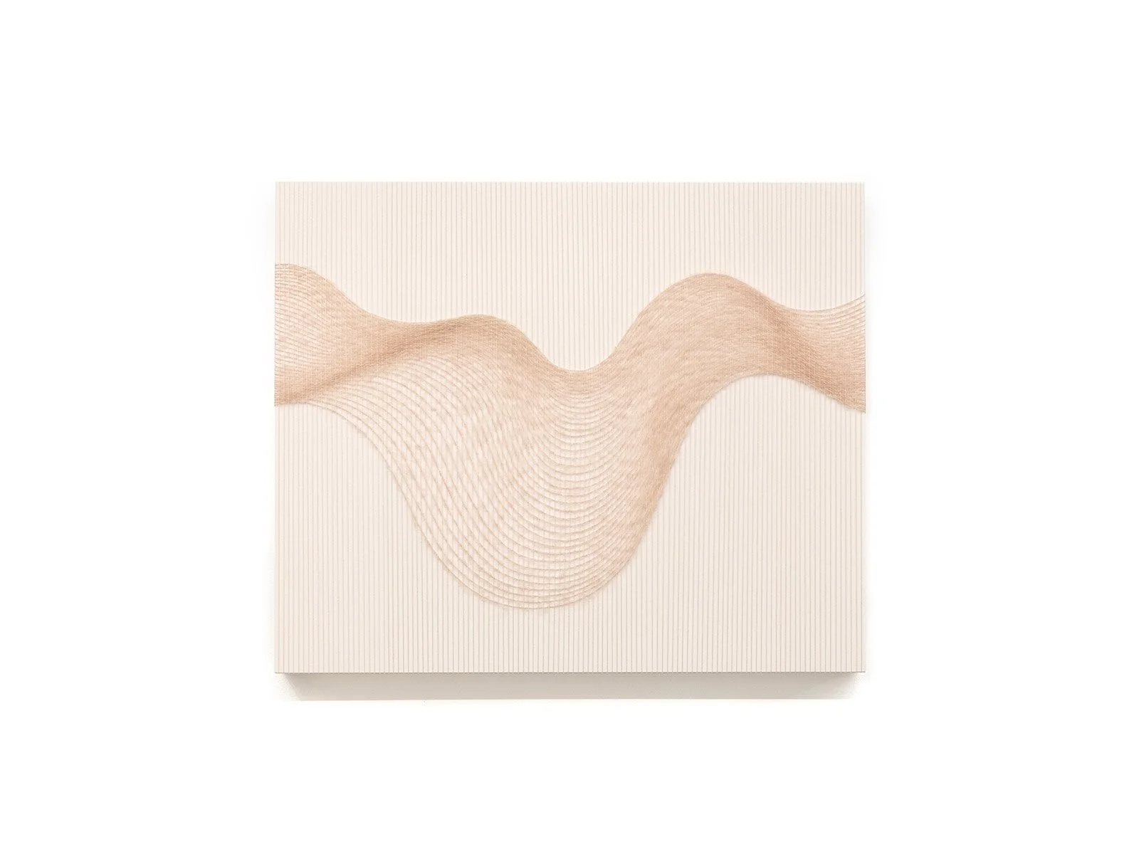  ONWARD, SLOWLY Natural fibers and painted panel 30 × 36 x 3 in 2026  view more images  