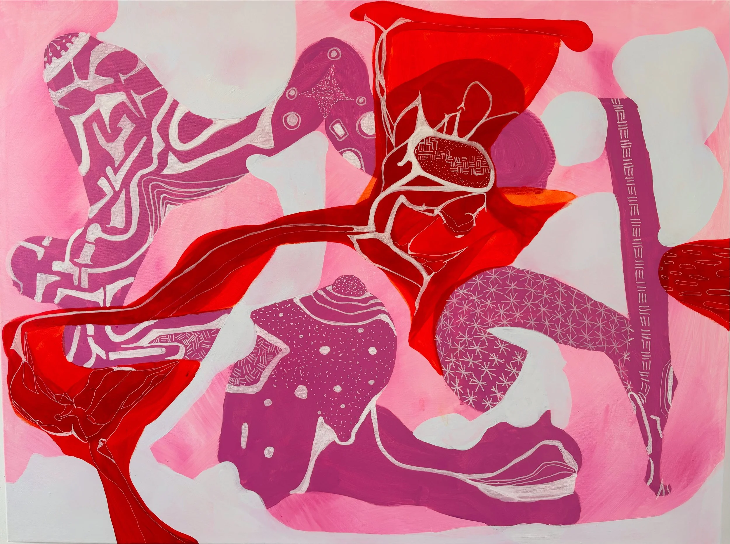 Isophelliidae. 30x40" Acrylic on Canvas