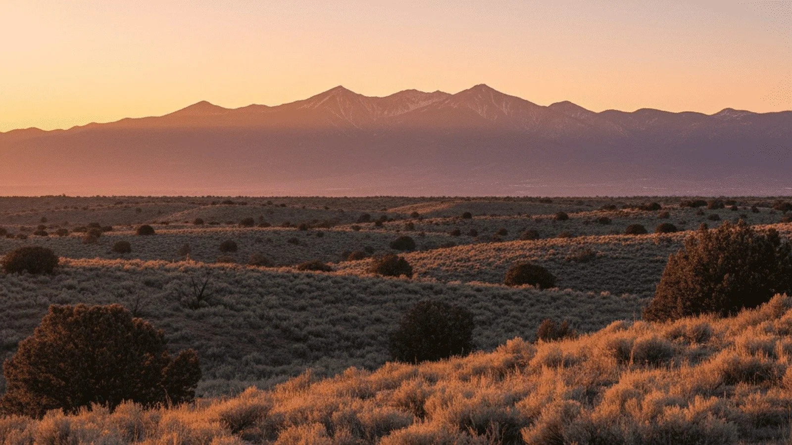 Finding Your Place in The City Different