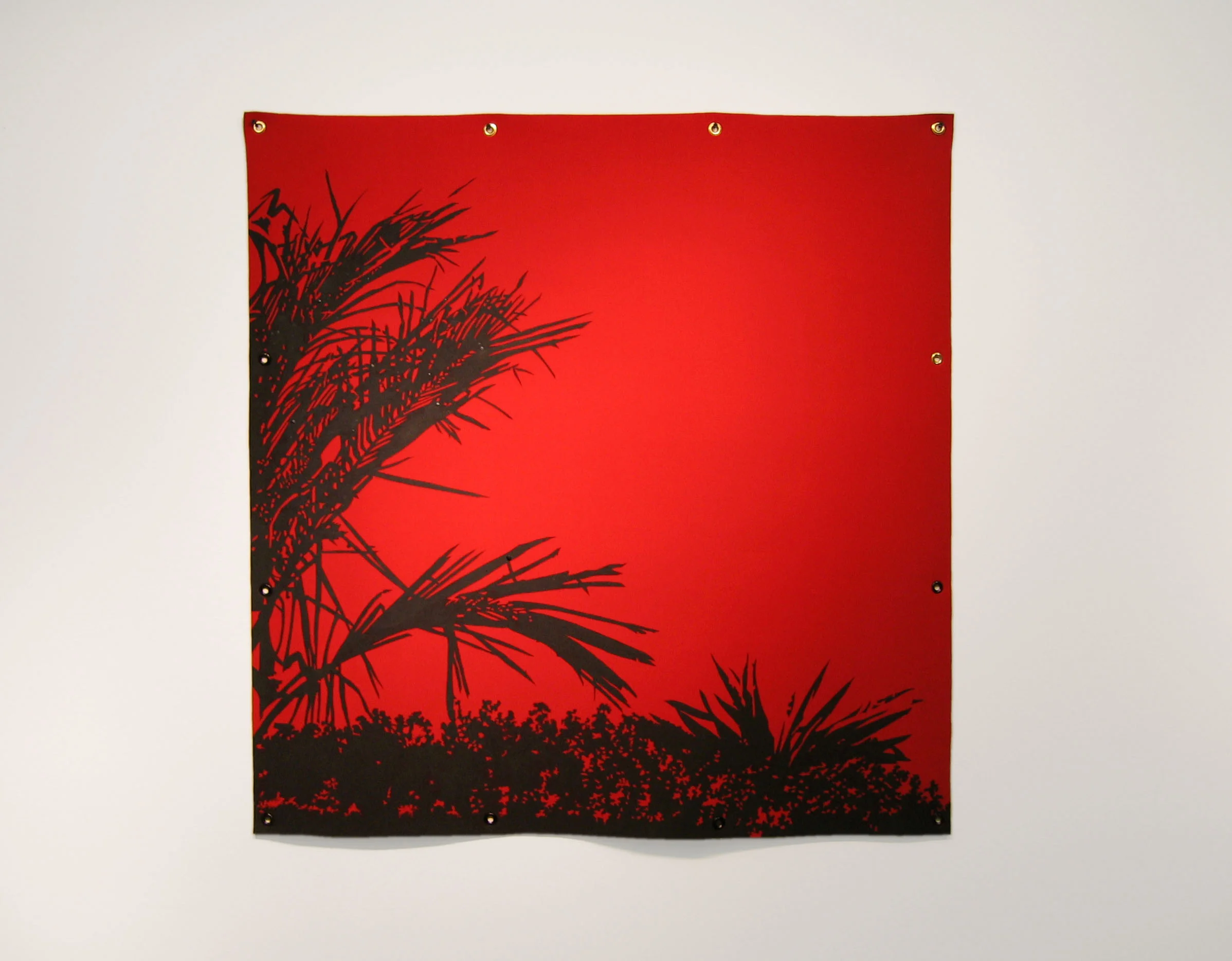 palm2.jpg