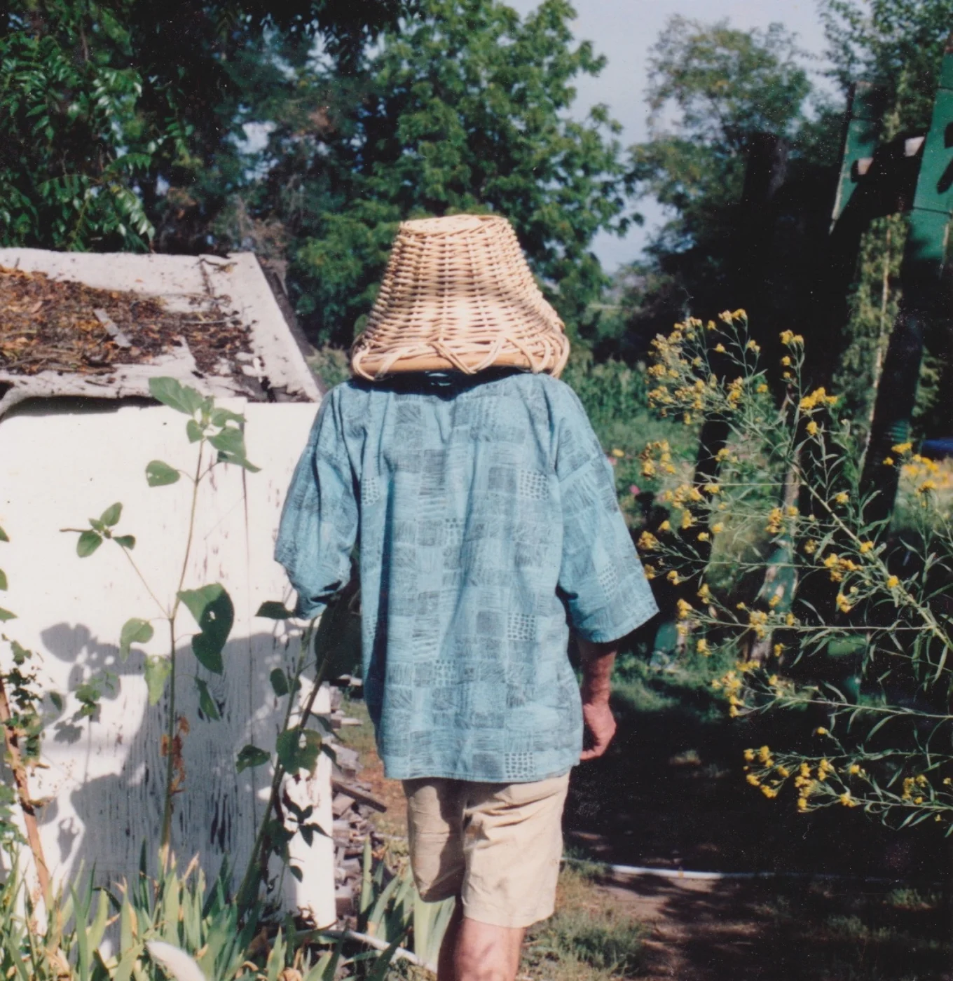 Basket case.jpeg