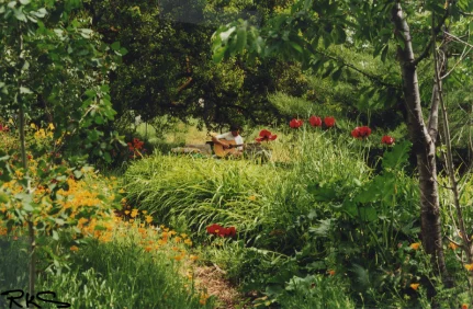 mo-garden.jpg