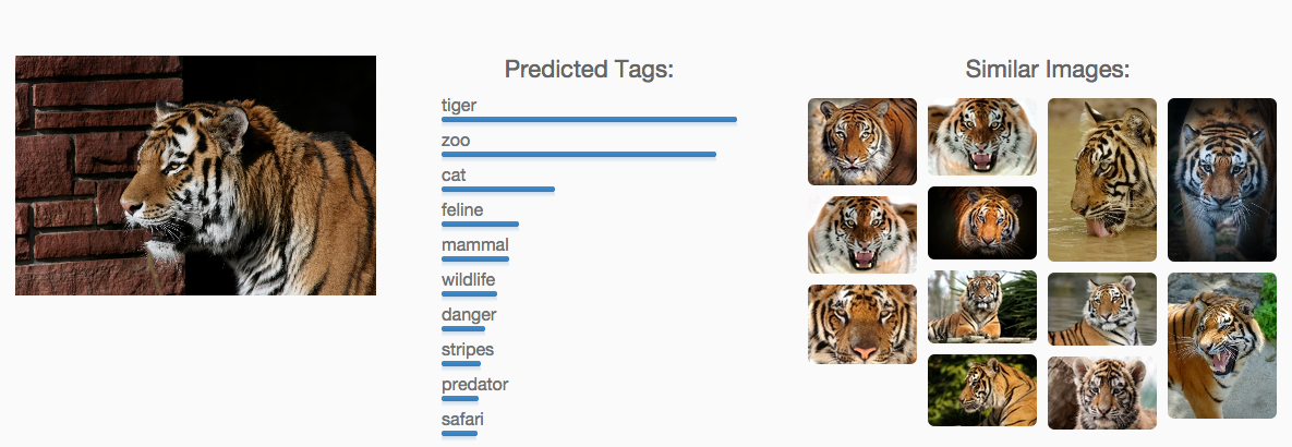 tiger4.png
