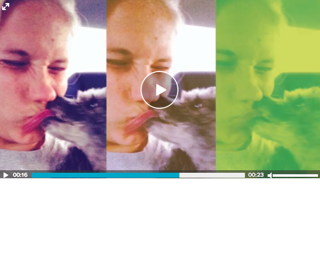 video2A.png