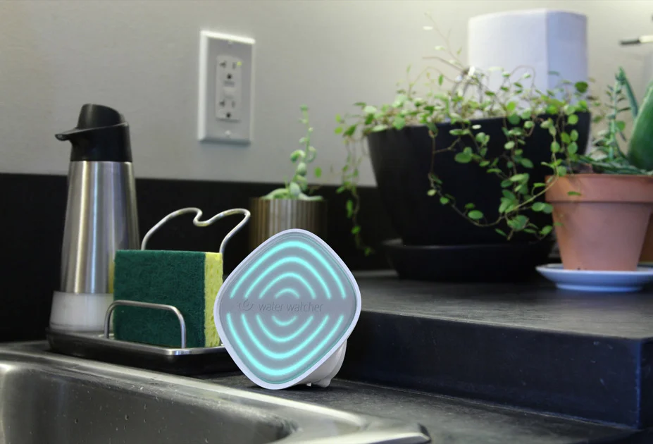 Water Watcher indicator near sink
