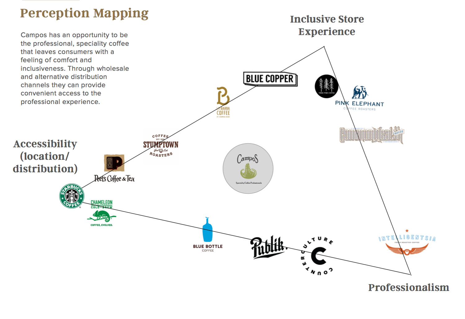 04_PerceptionMapping_Campos.jpg