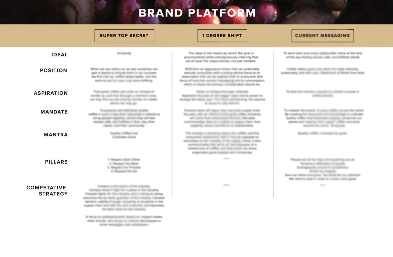 08_BrandPlatform_Campos.jpg