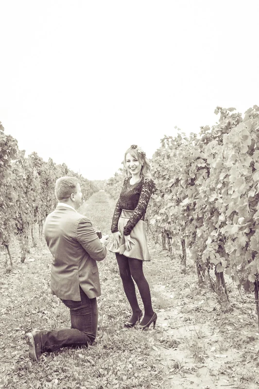 Engagement_Banna2015-7329.jpg